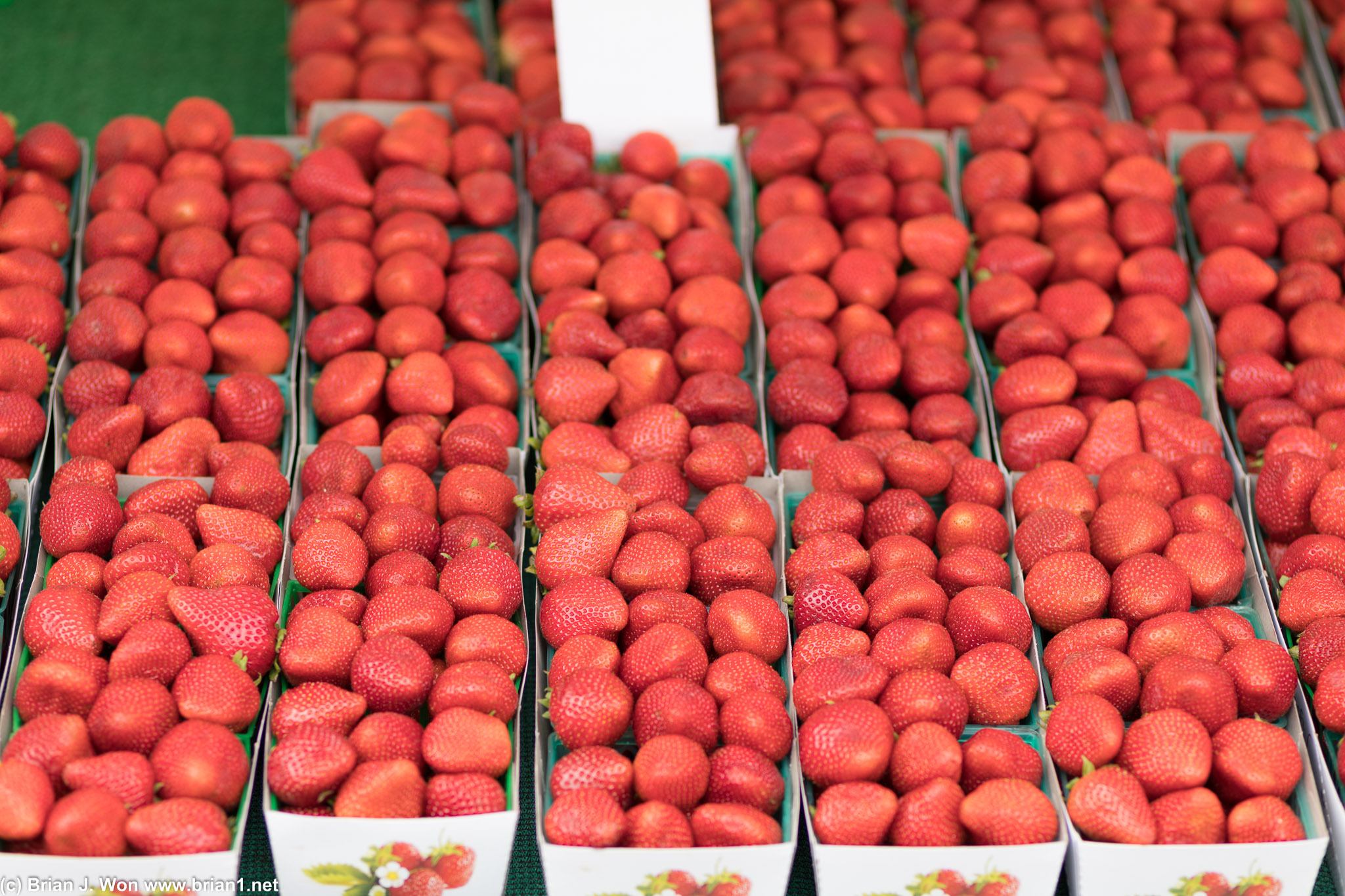 Strawberries are definitely in season.
