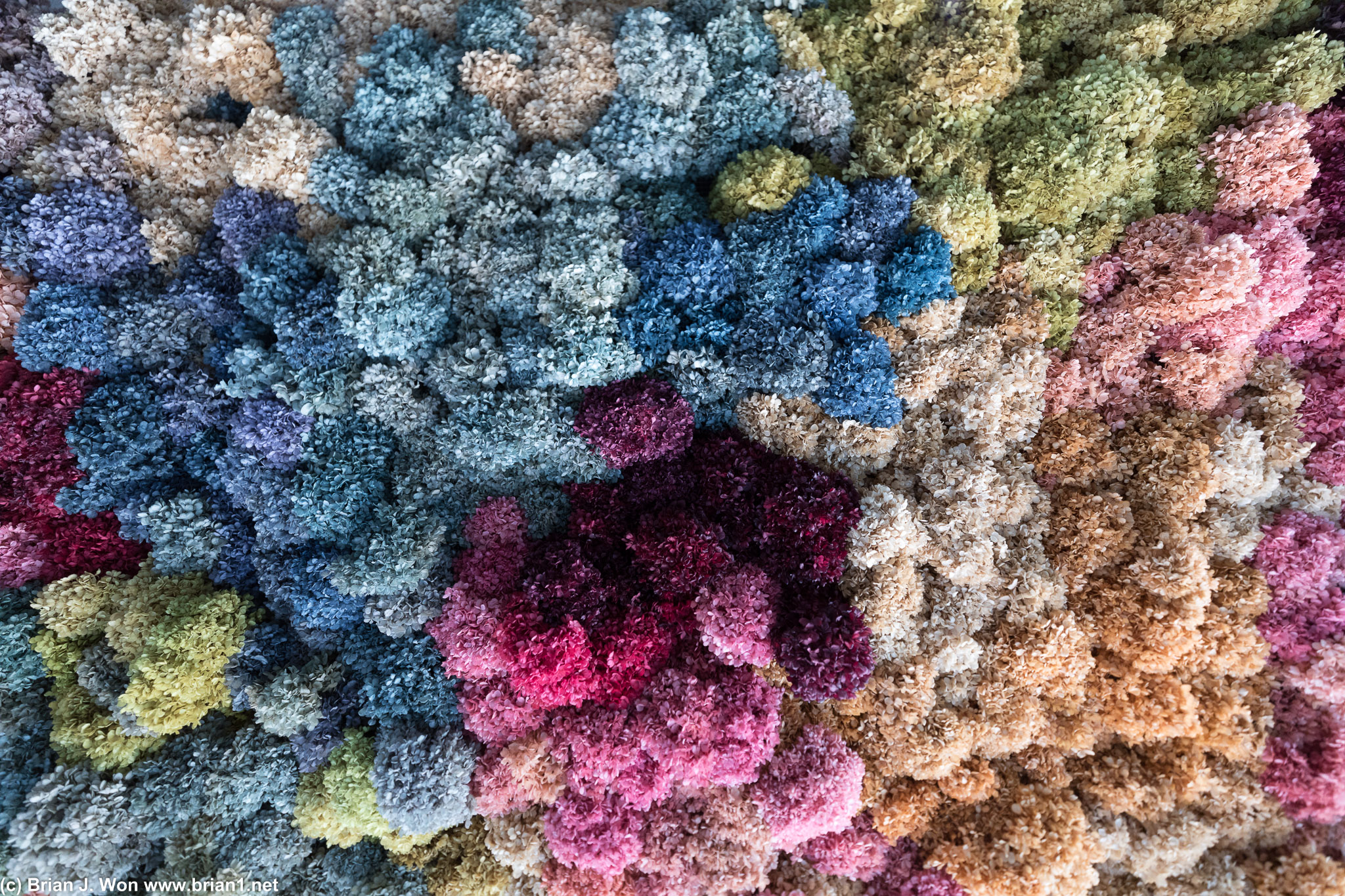 Very floral ceiling.