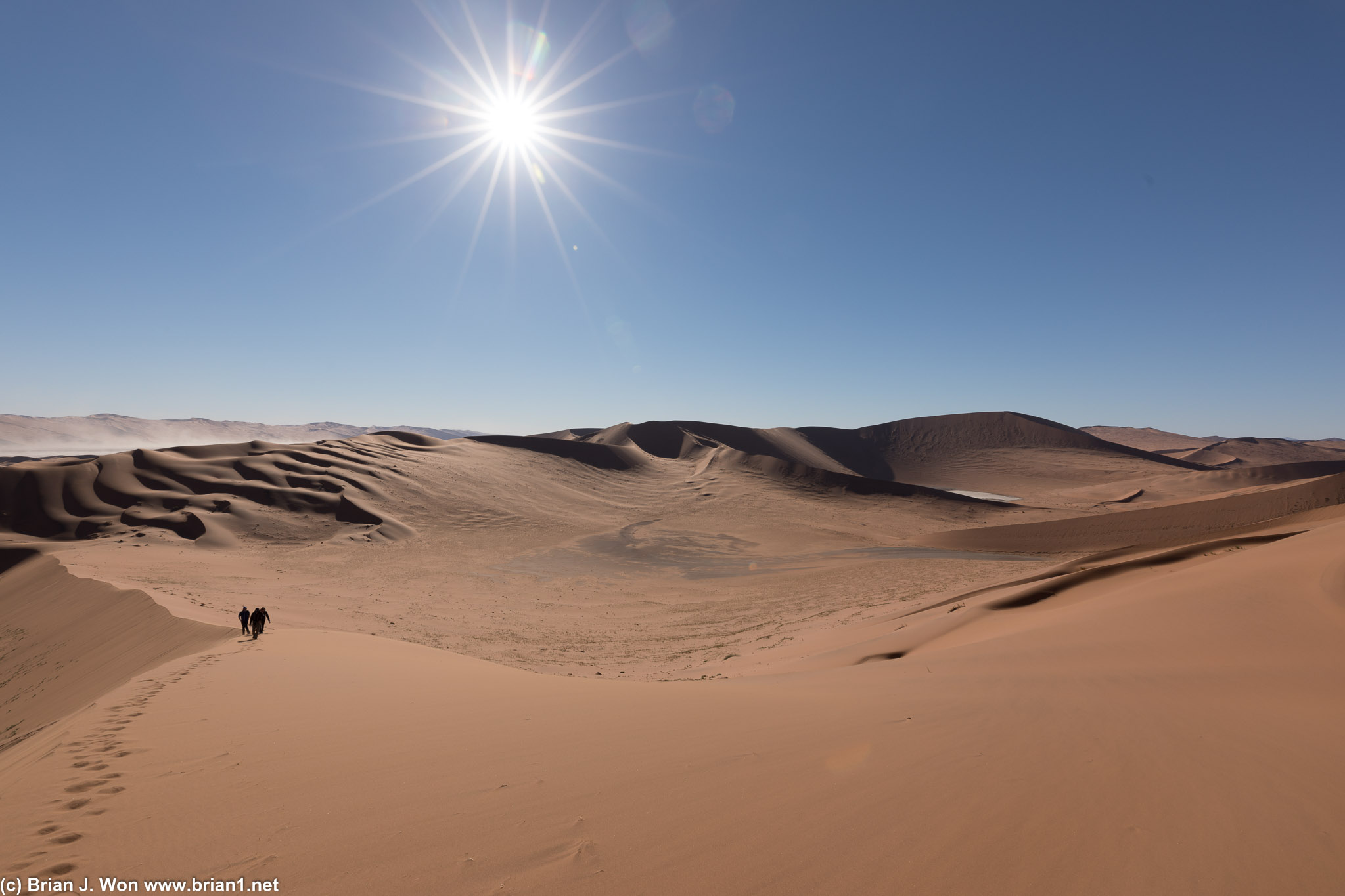 Bright sun and rolling dunes in the Namib.