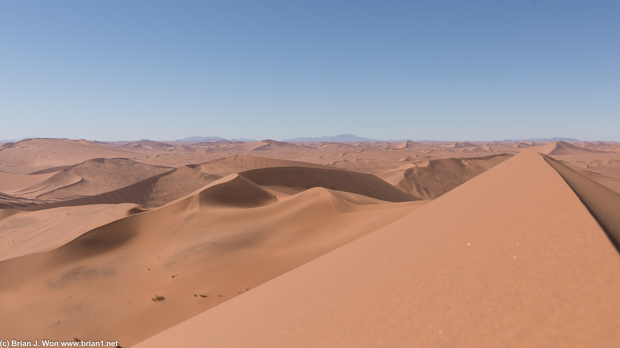 Sand dunes as far as the eye can see.