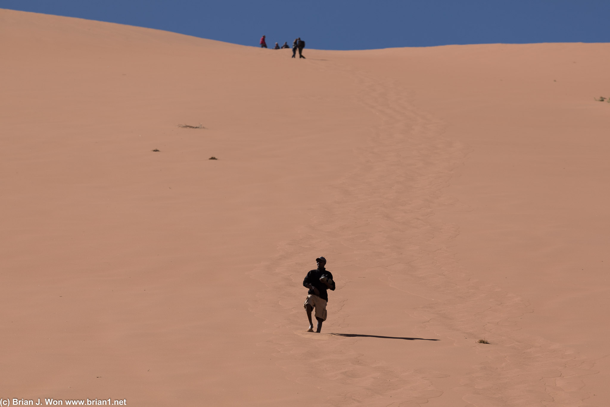 The guides are pros at hiking up and down.