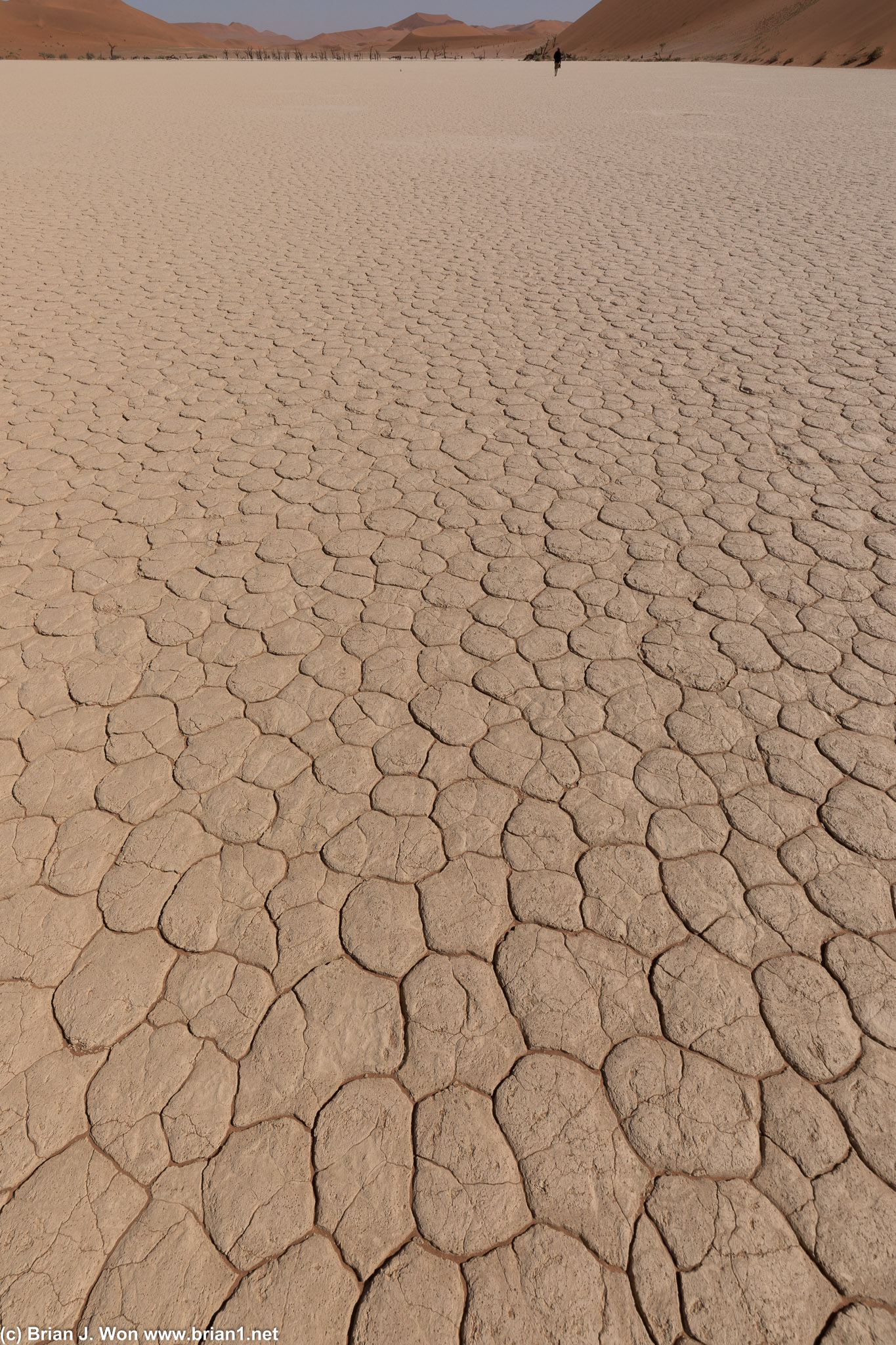 The clay pan of Dead Vlei.