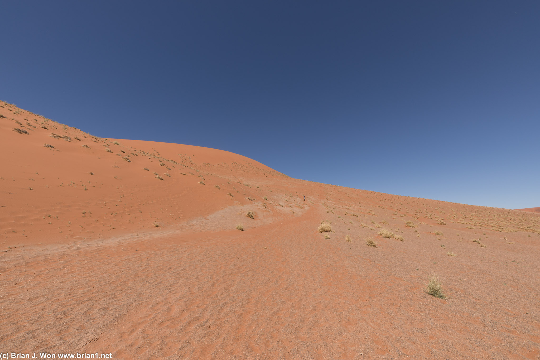 Sam is the tiny stick heading down the side of Dune 45.