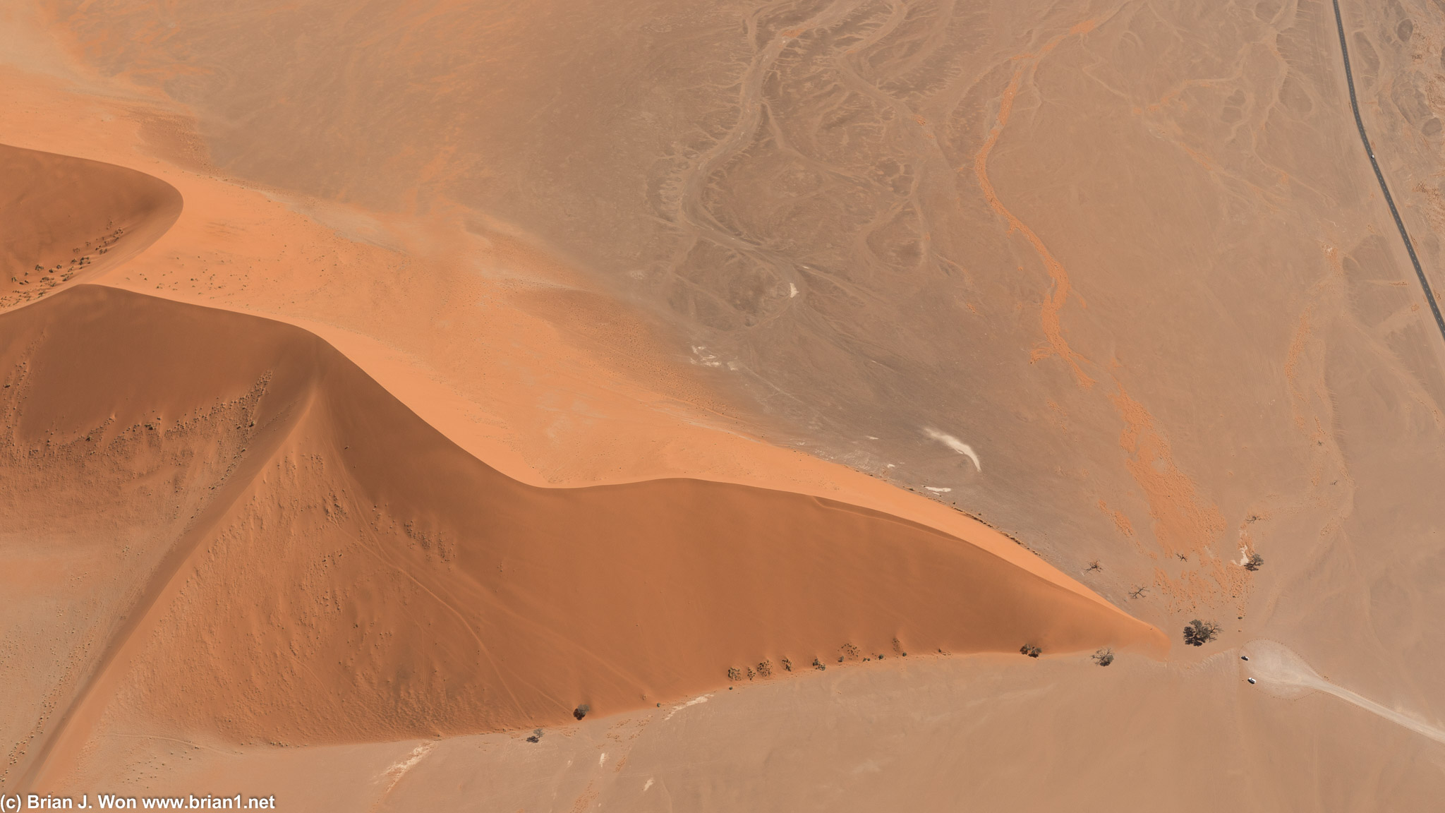 Dune 45.
