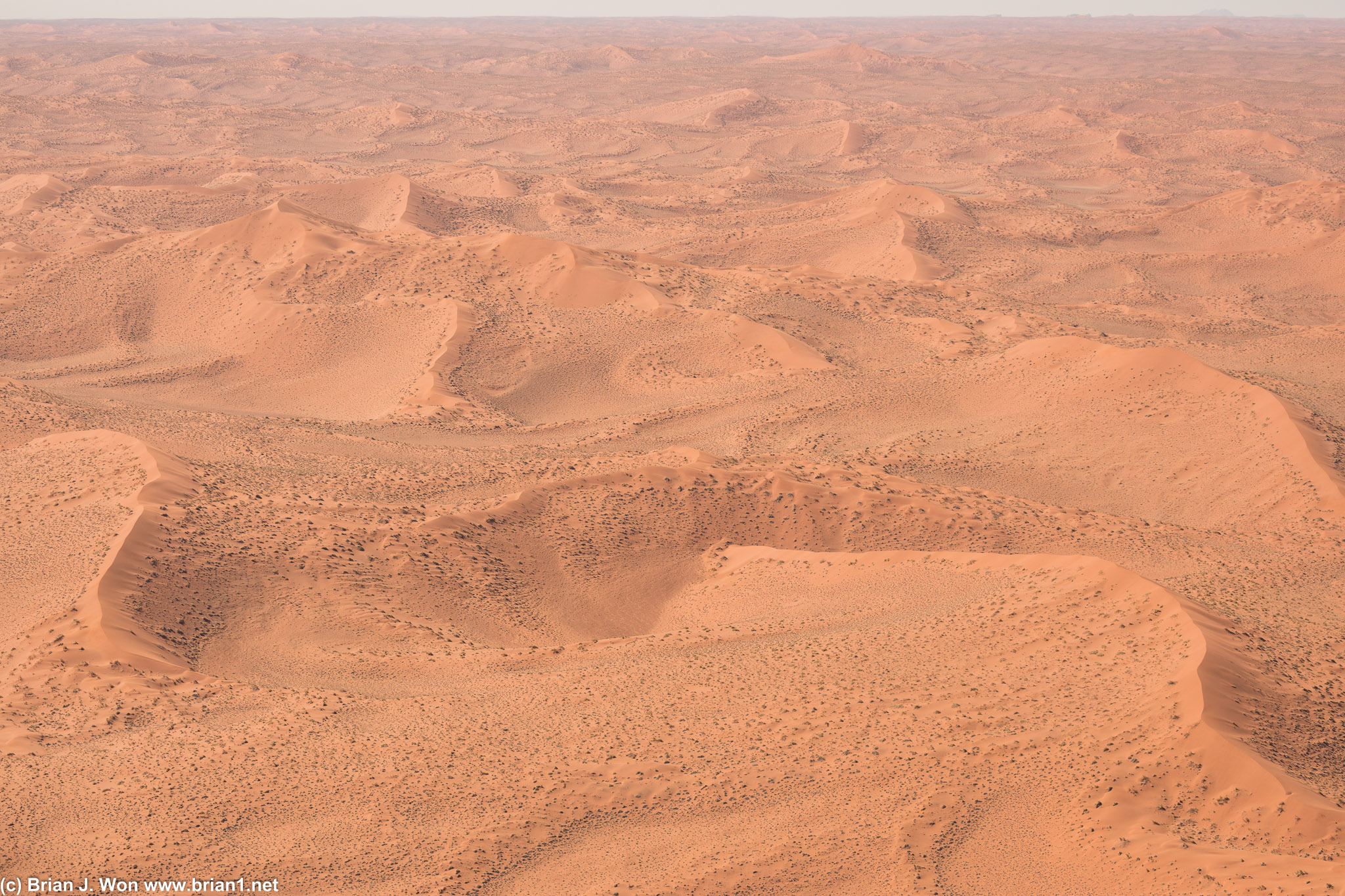 Deeper into the dunes, more vegetation on the ground.
