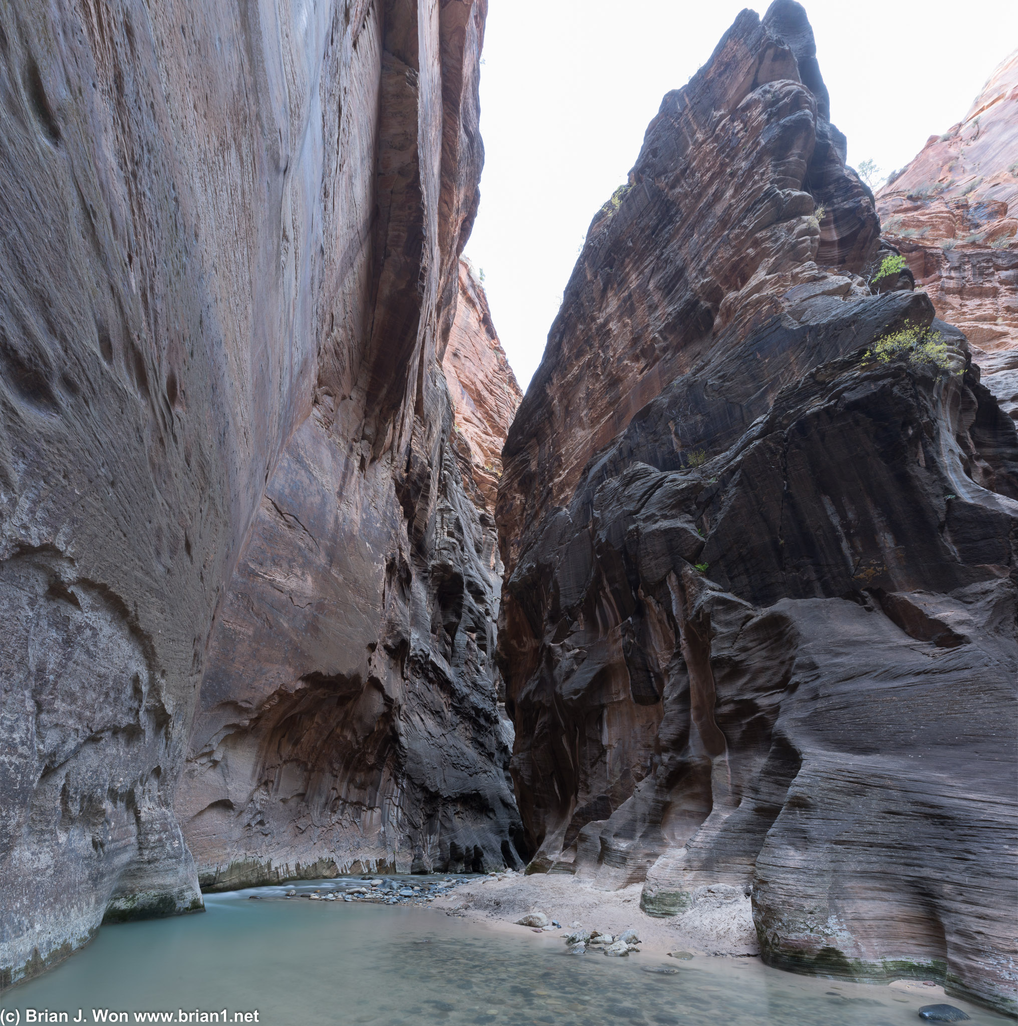Junction of The Narrows and Orderville Canyon.
