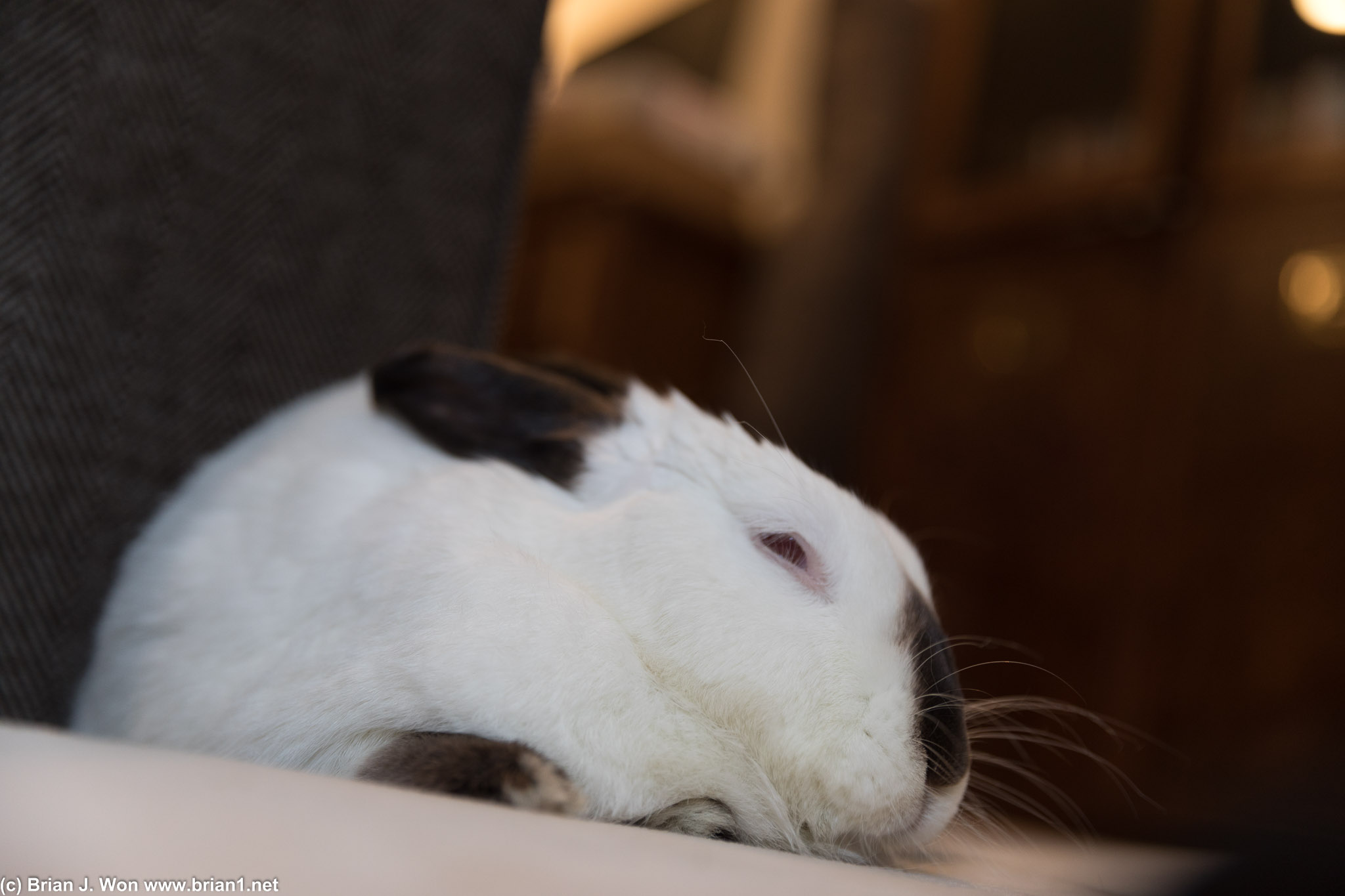 Duncan is almost asleep.