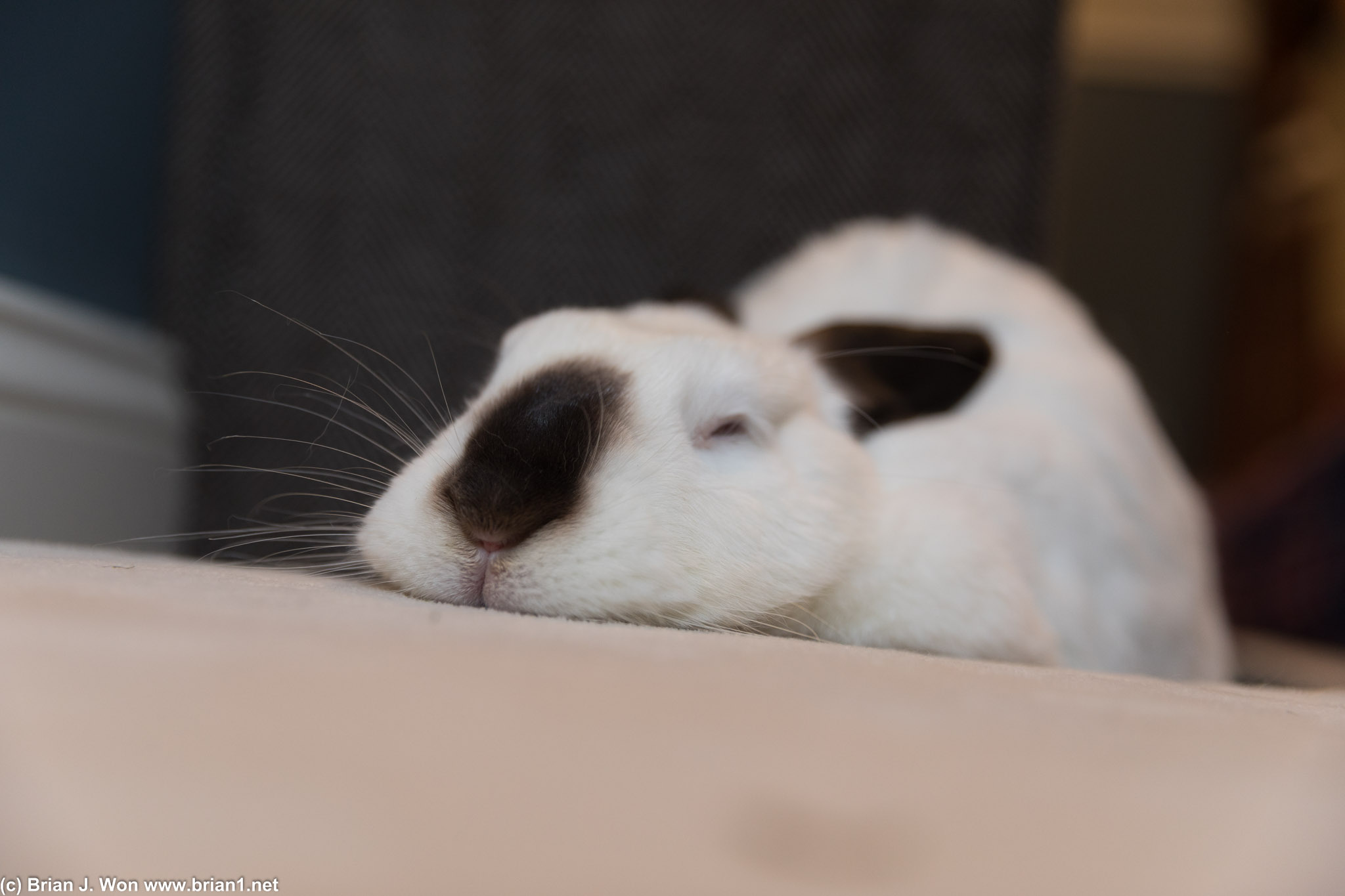 Bunny butter.