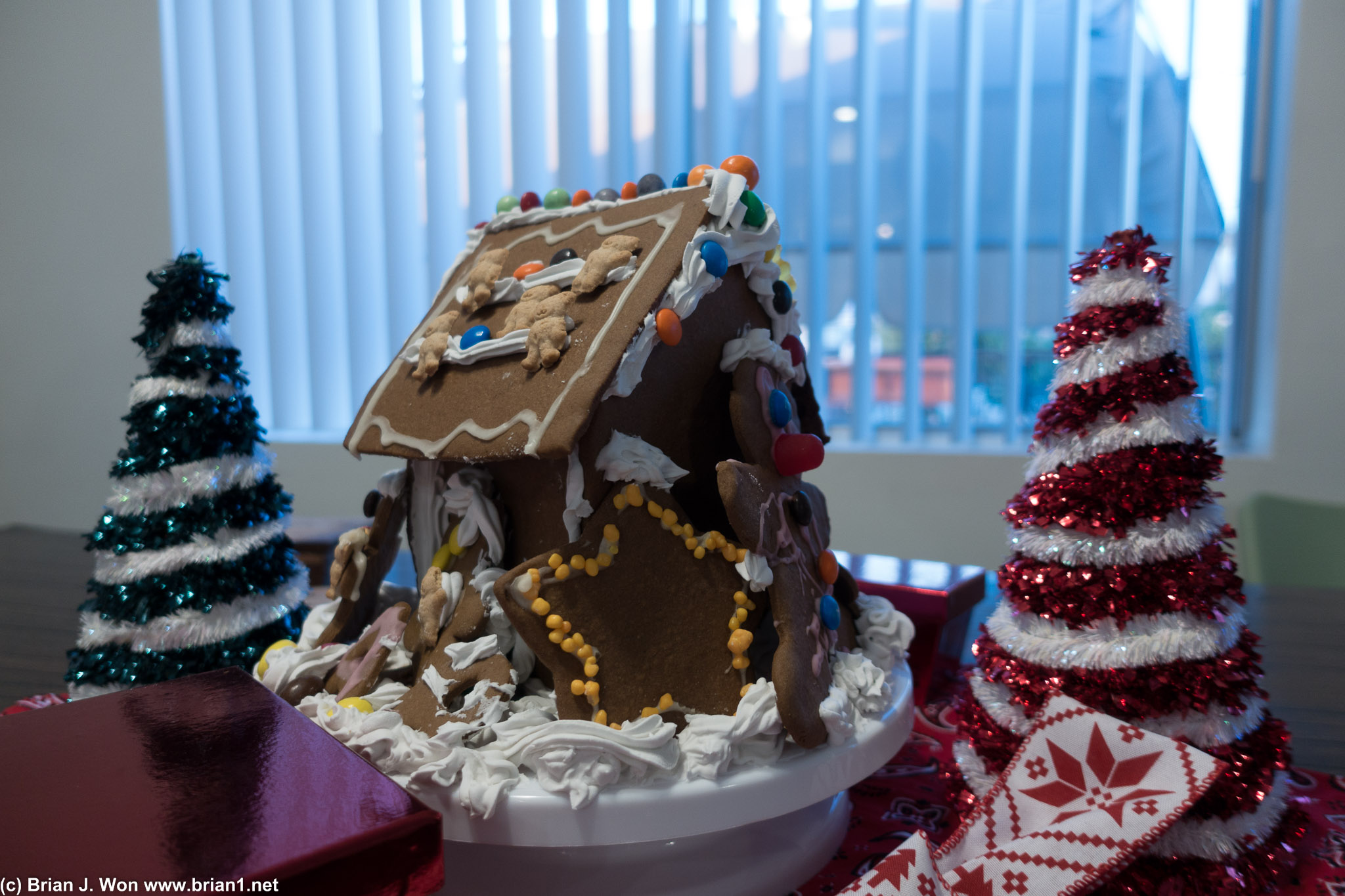 Paul's Christmas decorations.