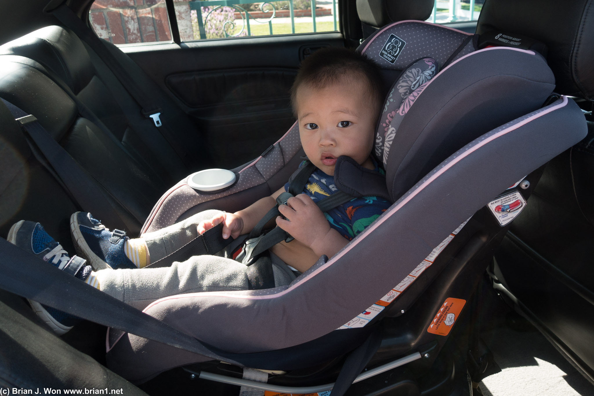 Can't tell if Lucas is confused, or ready for a car ride.