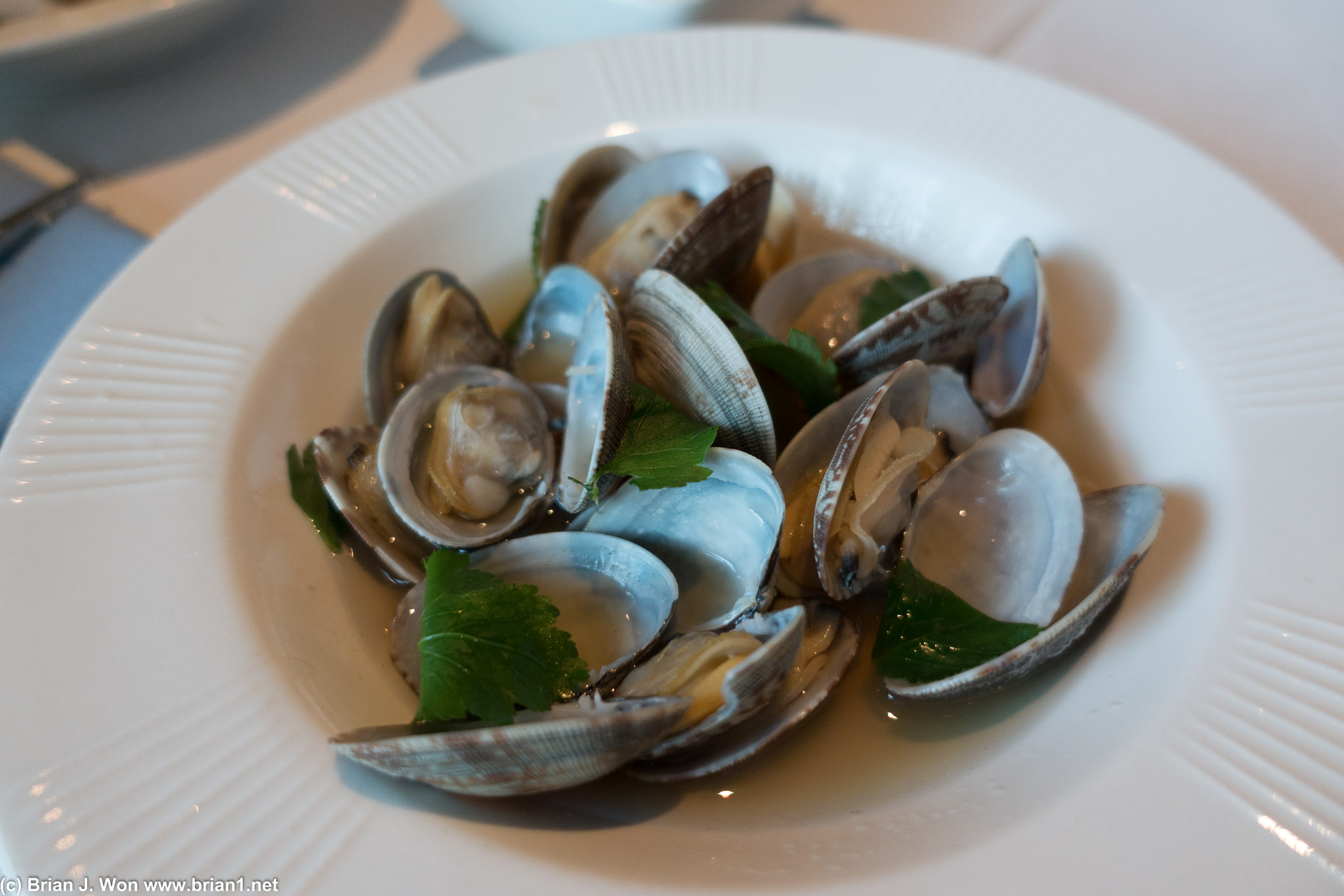 Clams.