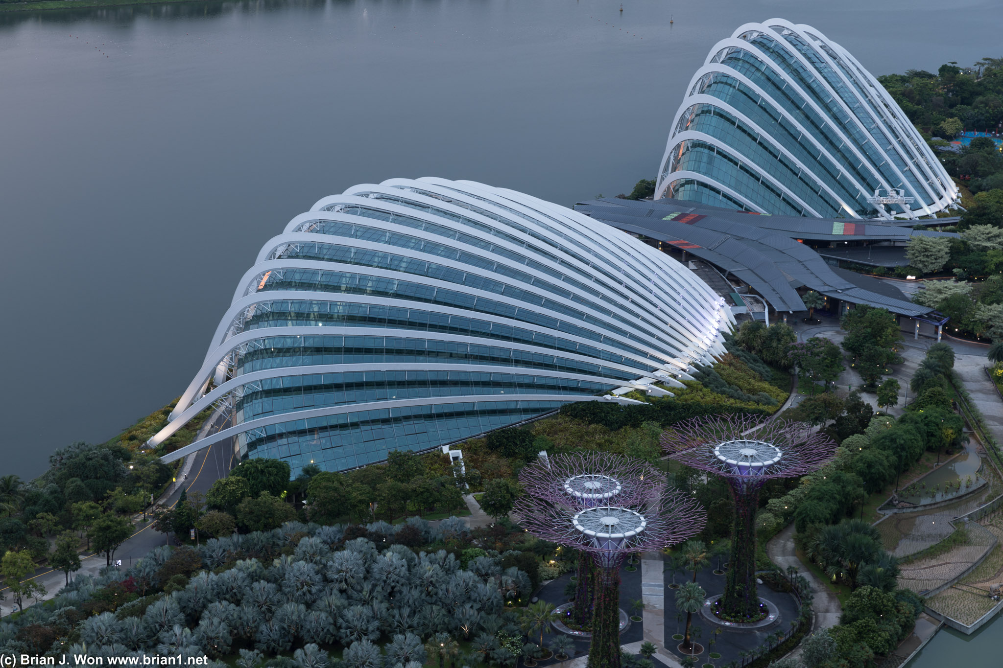 Flower Dome (center) and Cloud Forest (right).