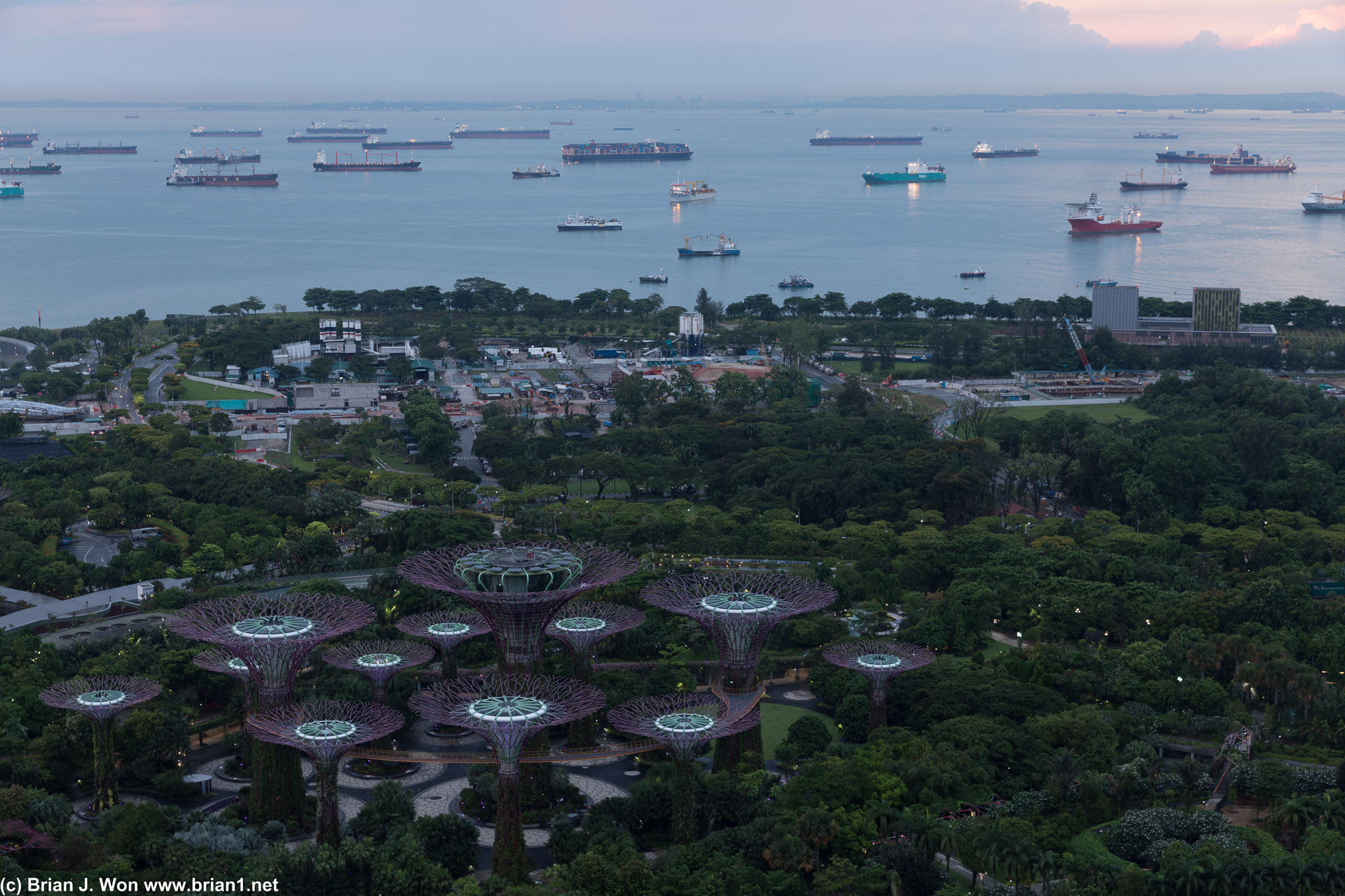 Even giant artificial trees fail to tower over such a busy anchorage.