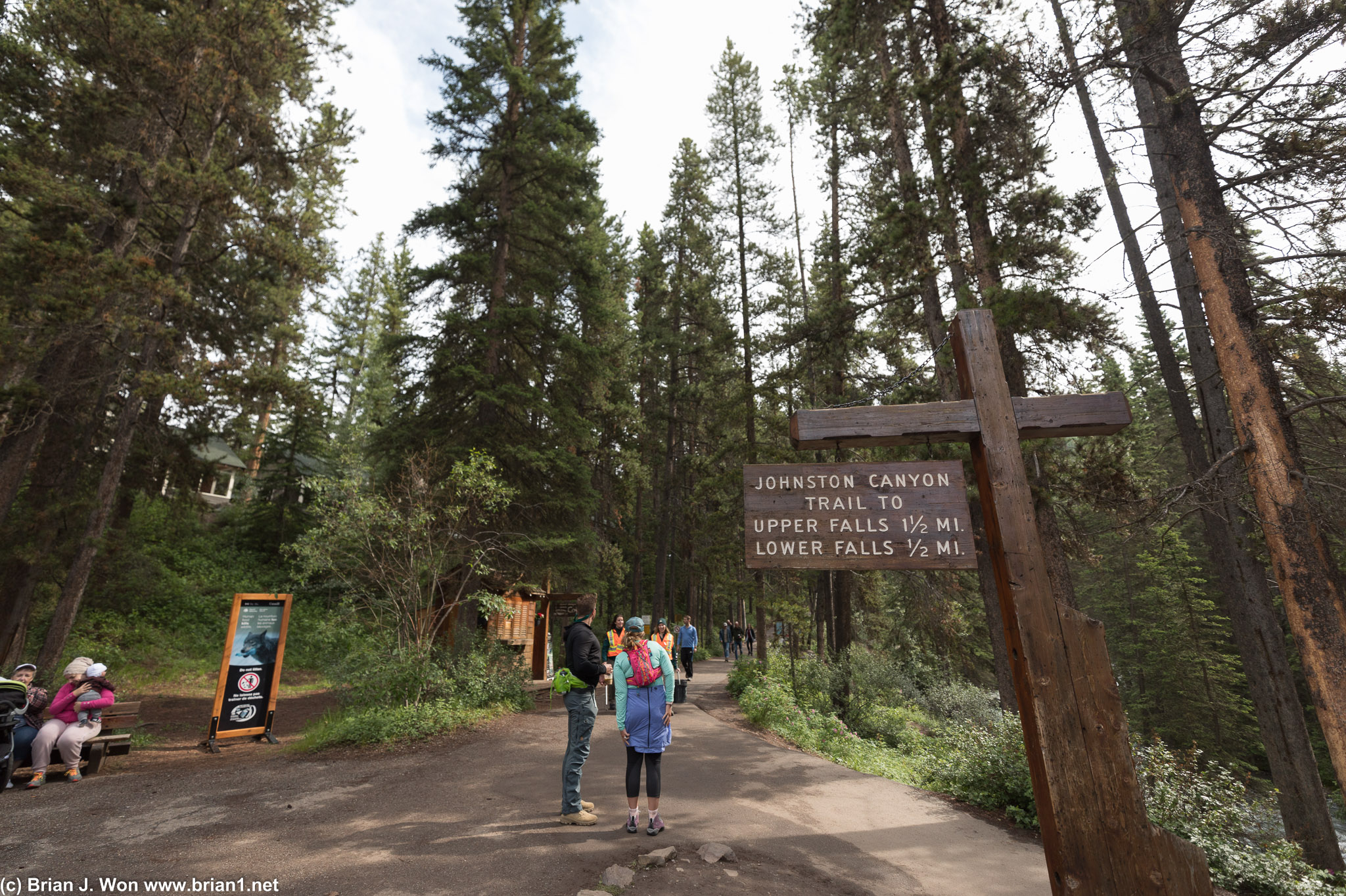 Headed to lower elevations where it was clear-- Johnston Canyon.