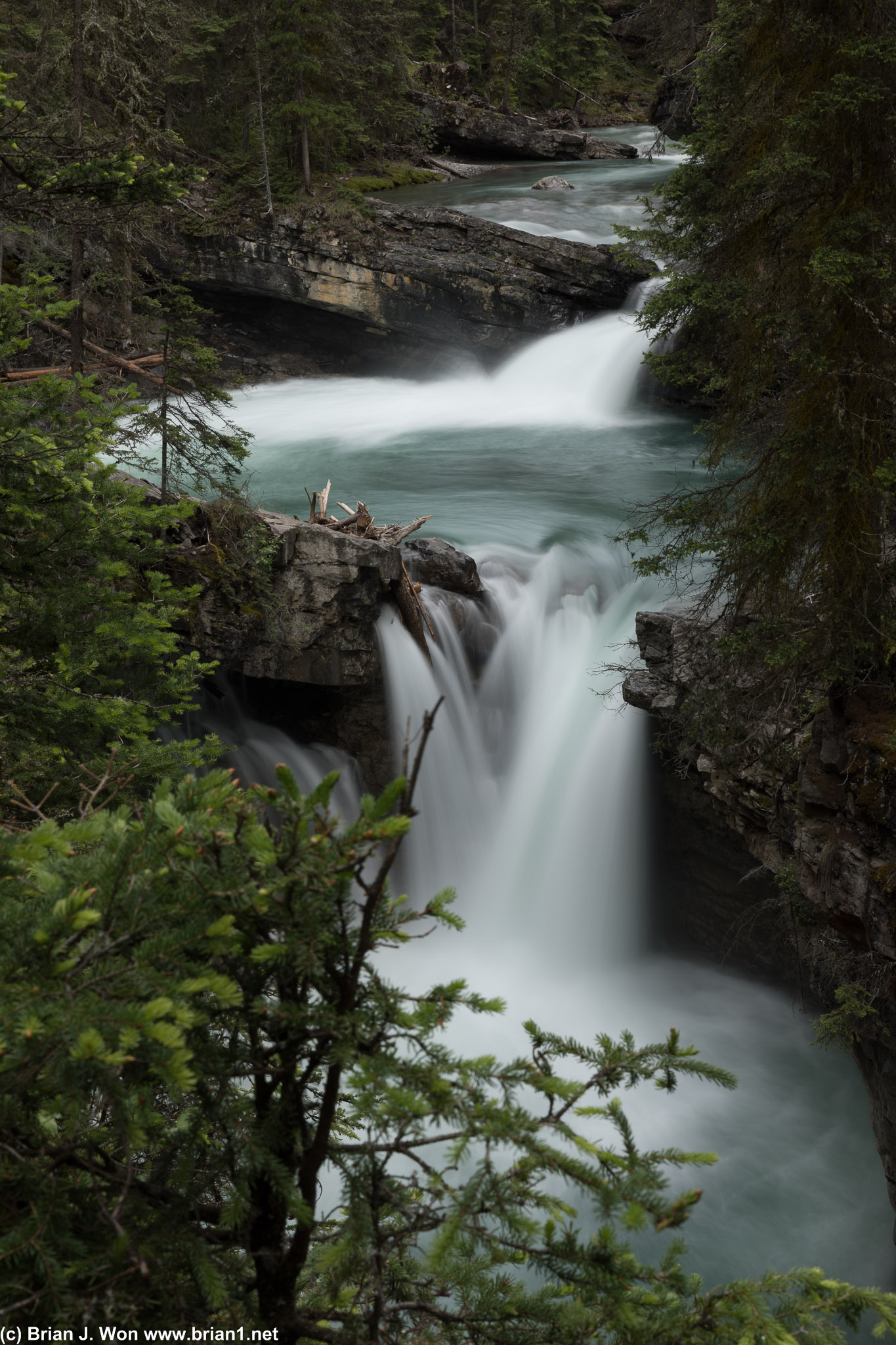 Johnston Creek.