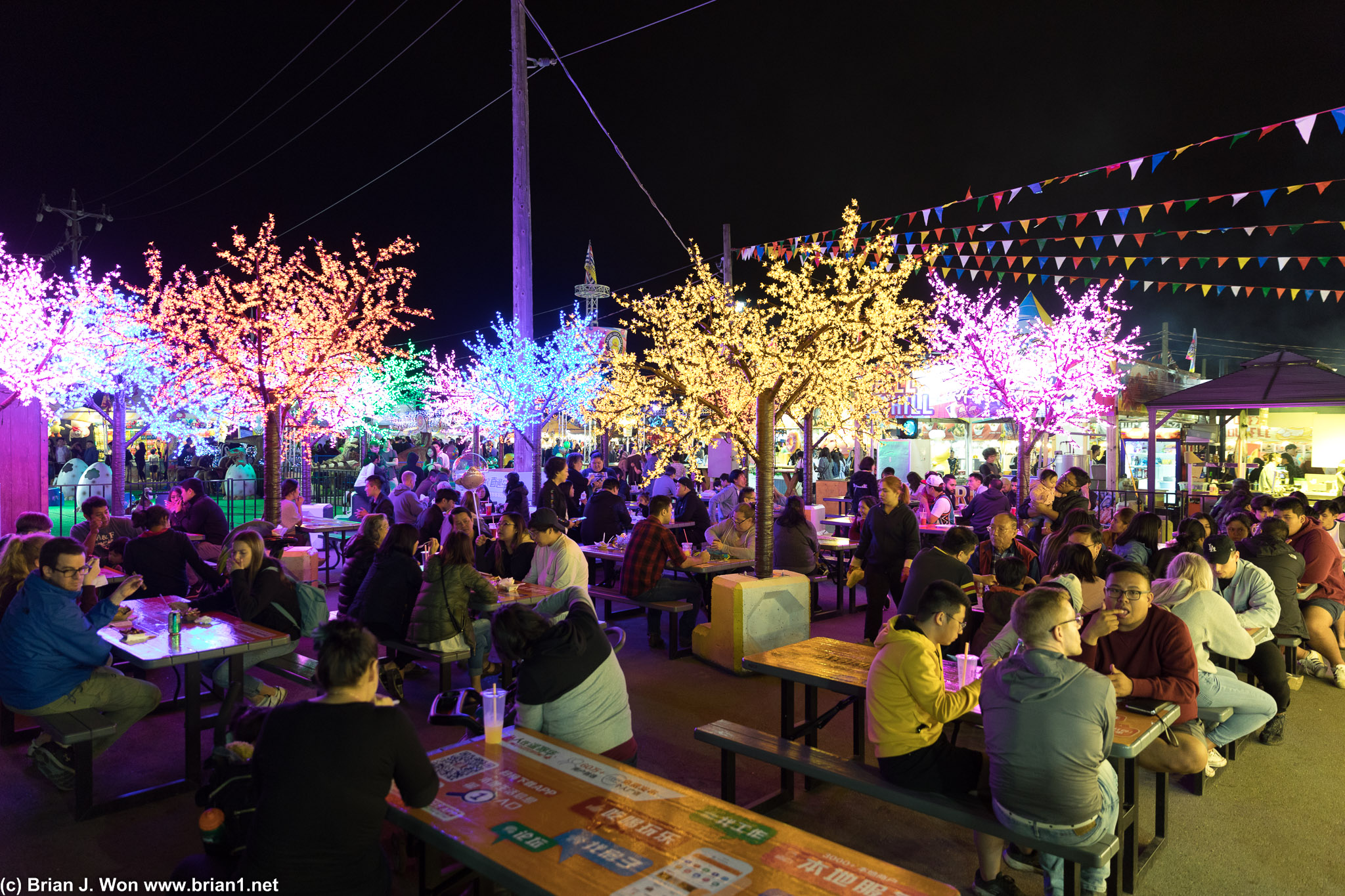 Colorfully lit trees.