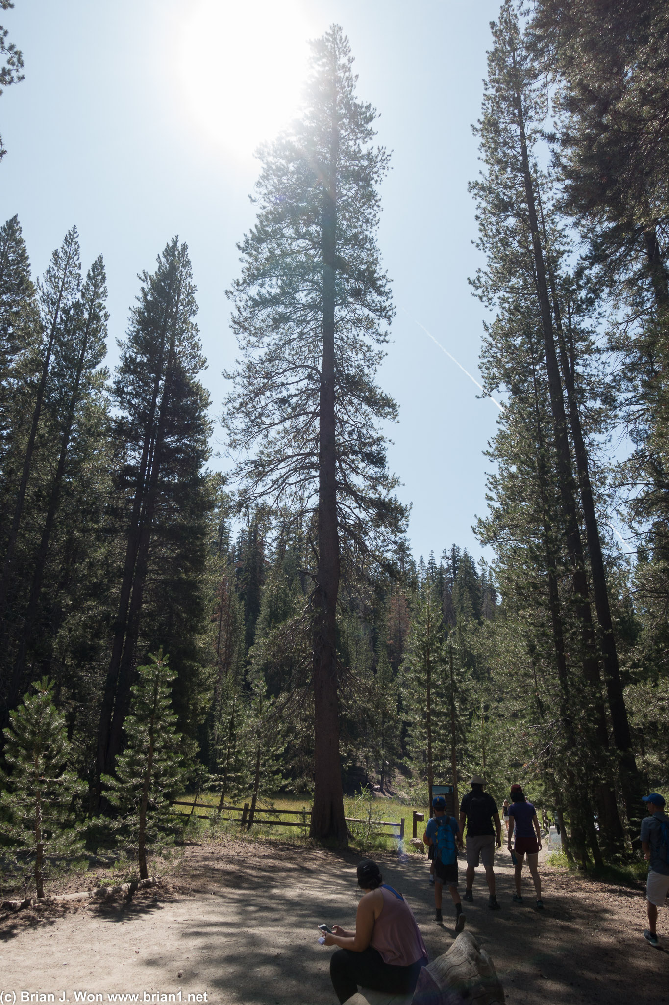 Gorgeous day in Sierra Nevada.