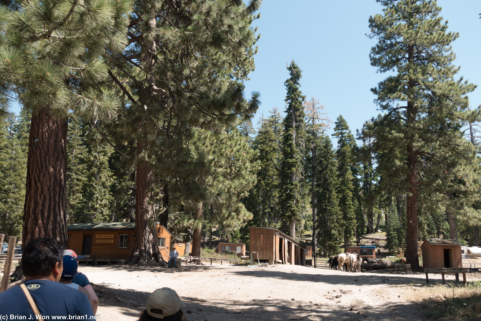 Reds Meadow stables.