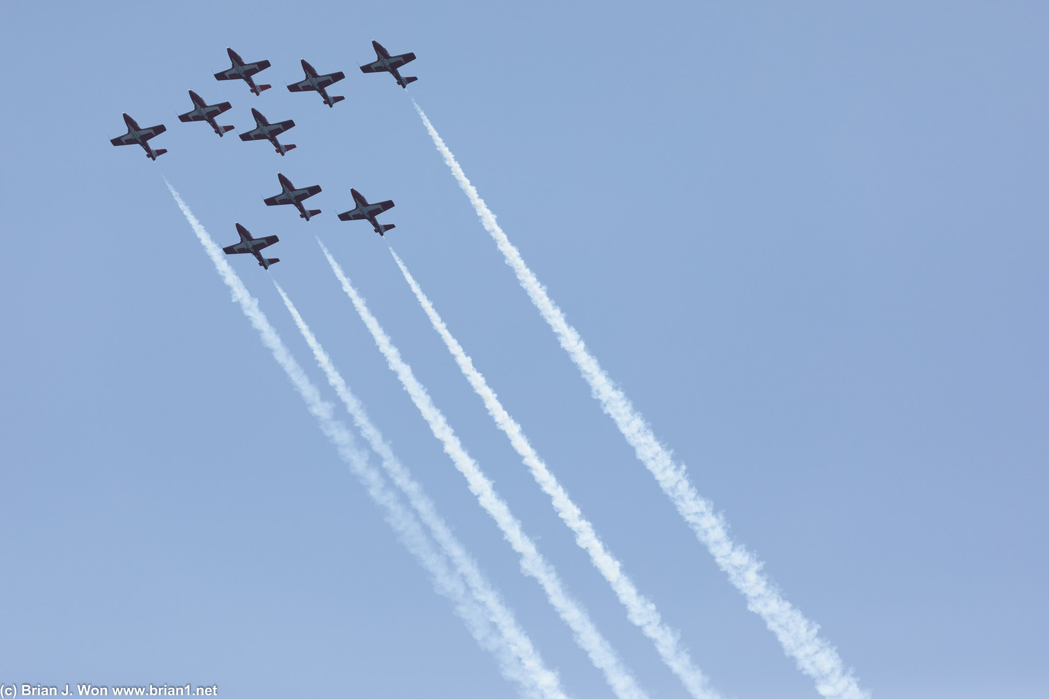 Canadian Forces Snowbirds.