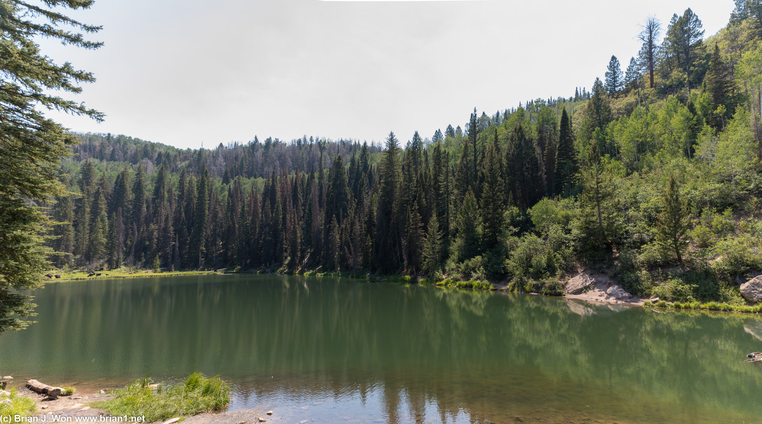 Random driving around Castle Valley lead us to Oowah Lake.