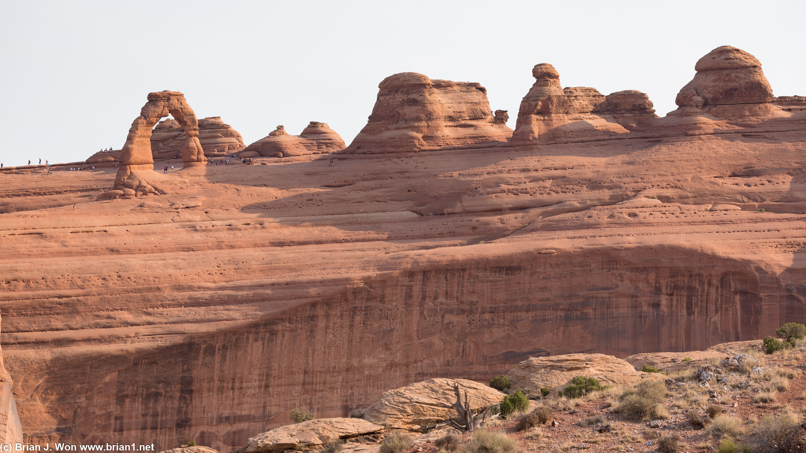 Makes the formations and geologic structure more obvious.