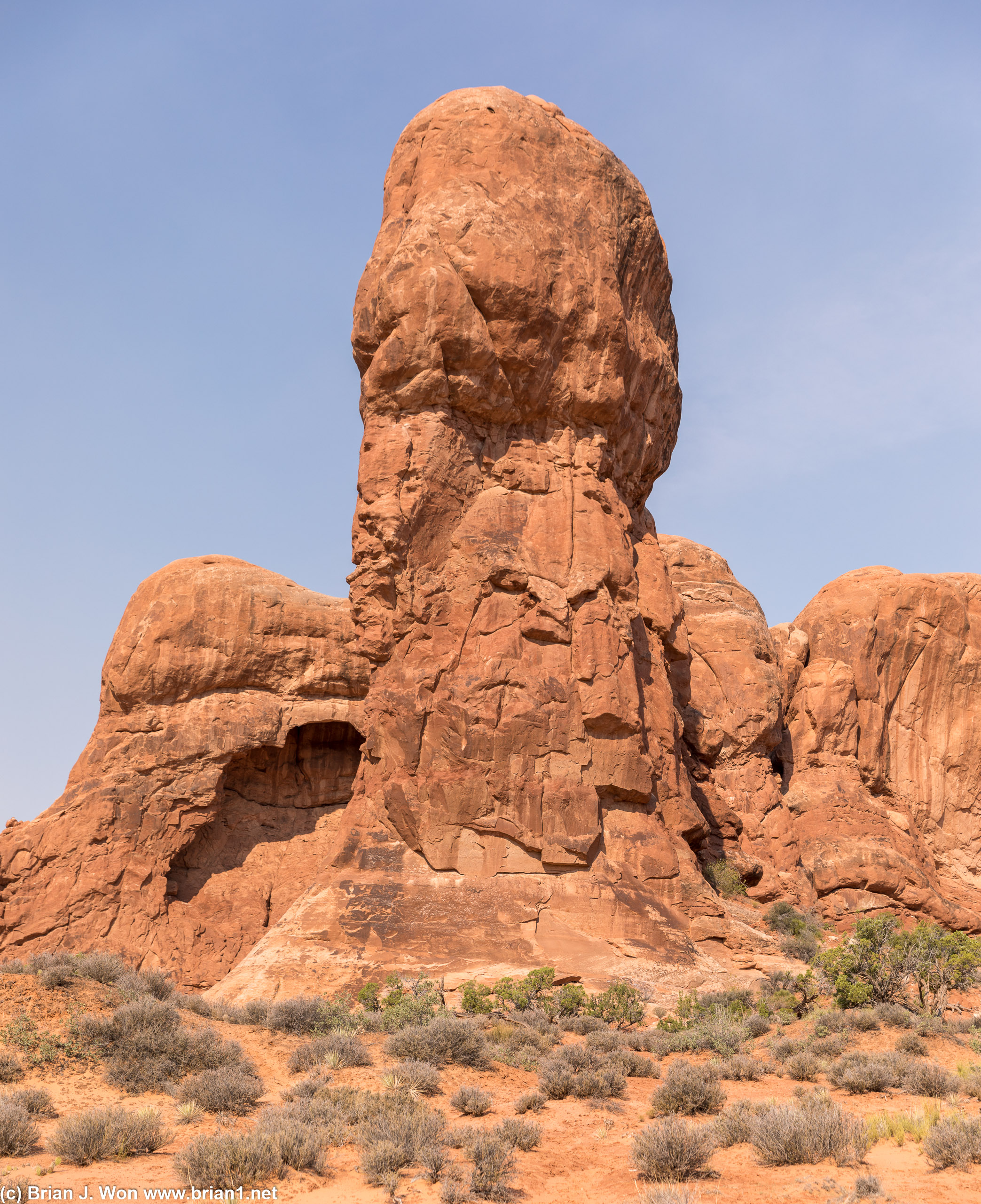 Yes, it is very phallic.