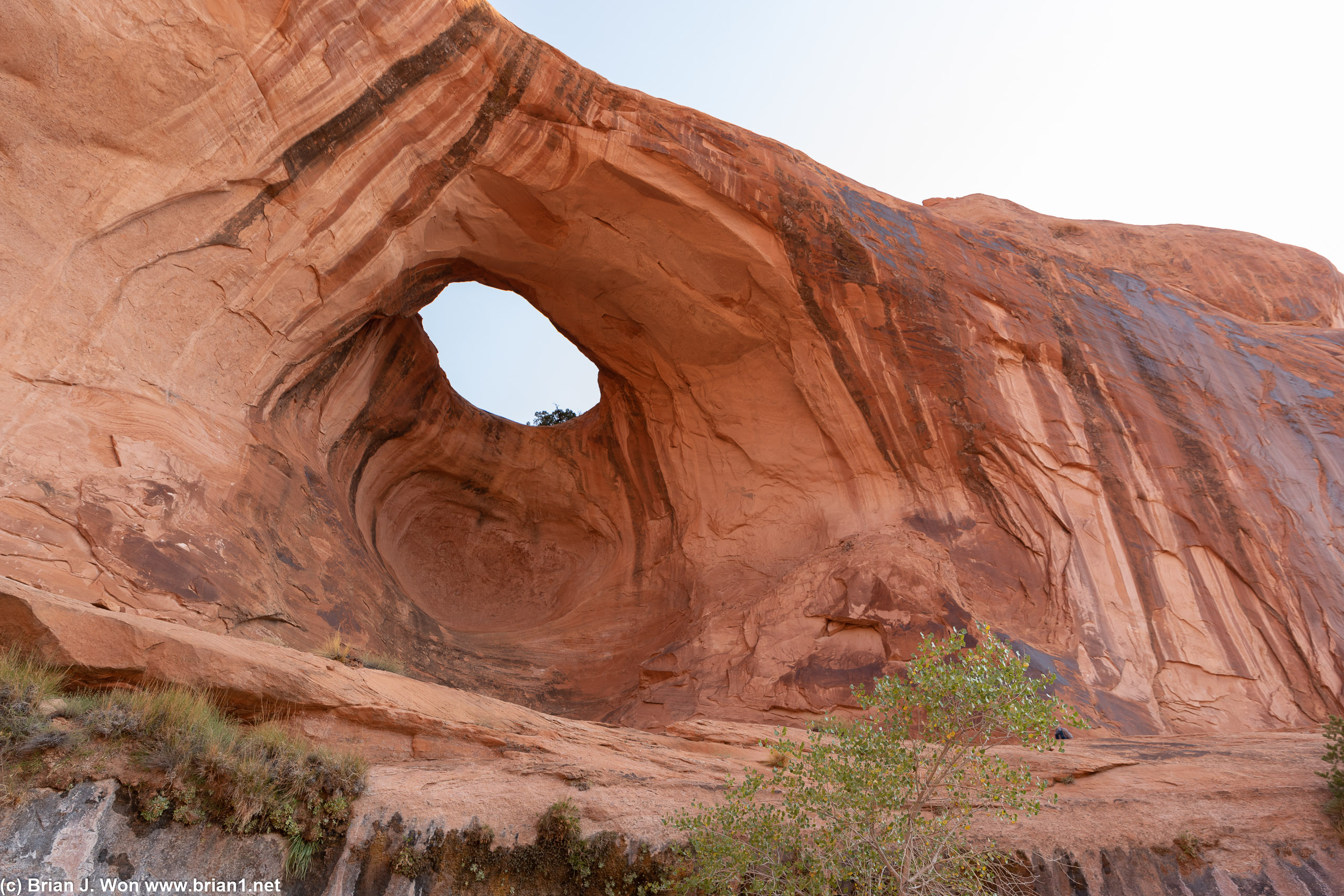 Bowtie Arch.