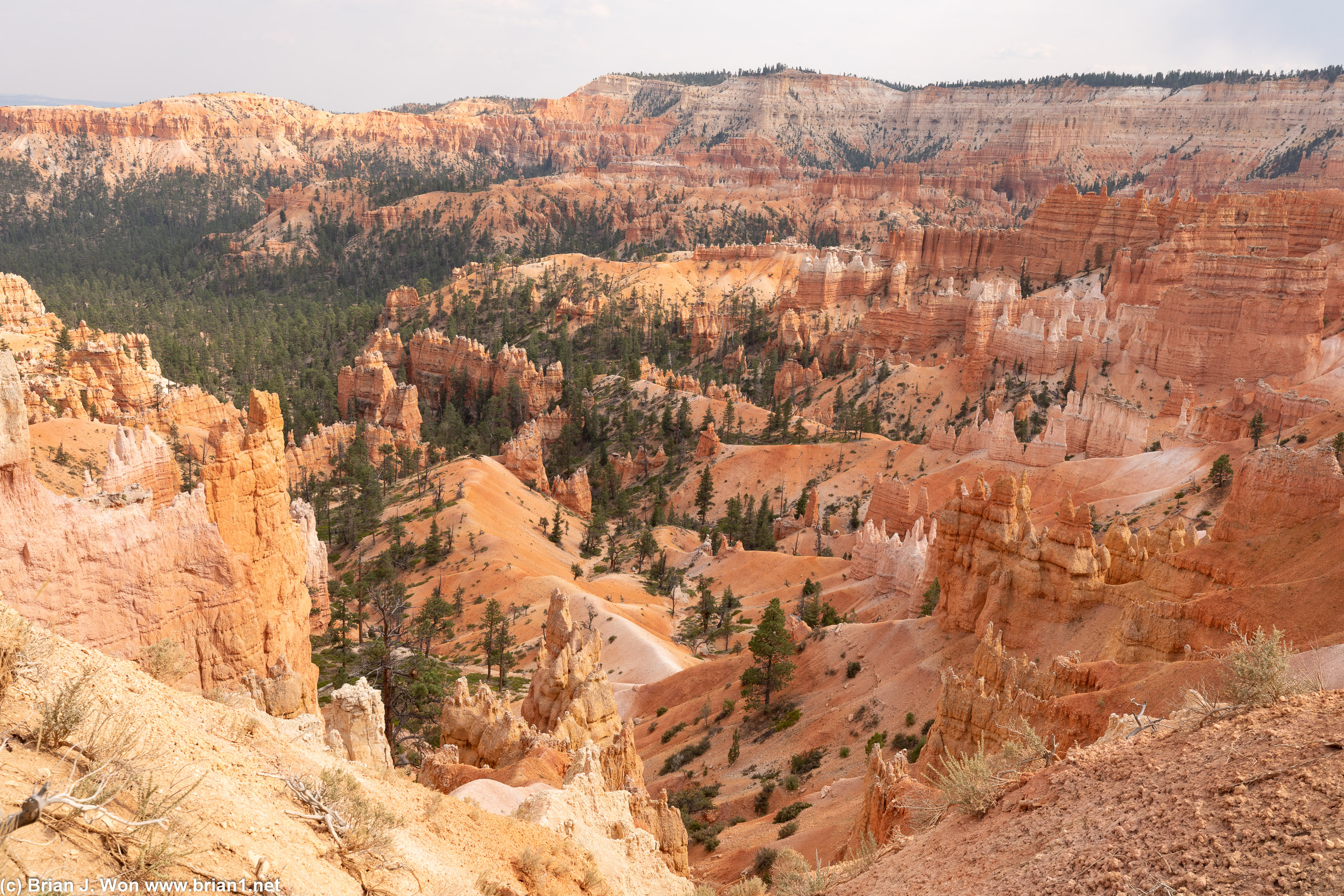 Was just hearing a few hours ago, could Utah have anything else left to impress... clearly the answer is yes.