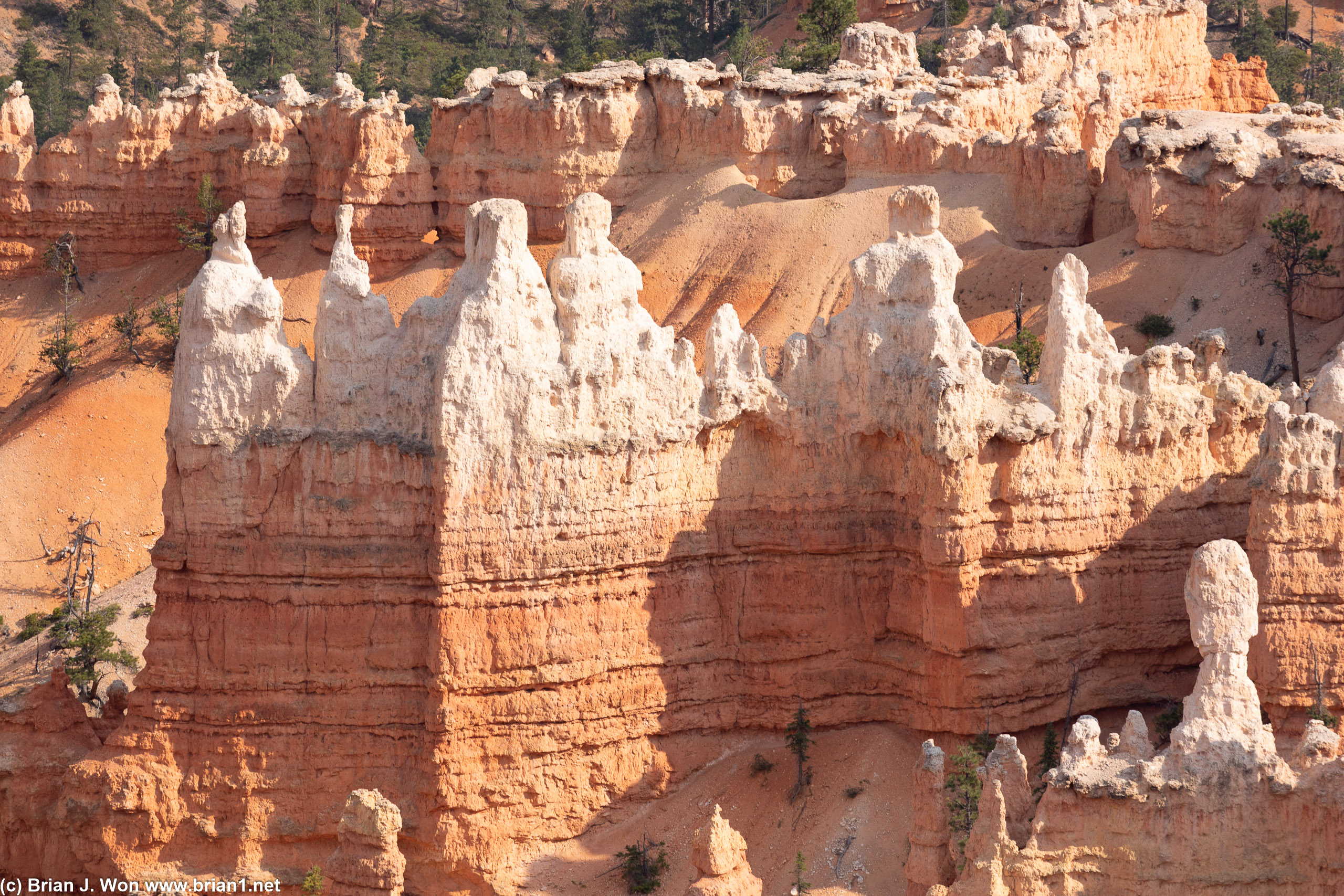 Hoodoos.