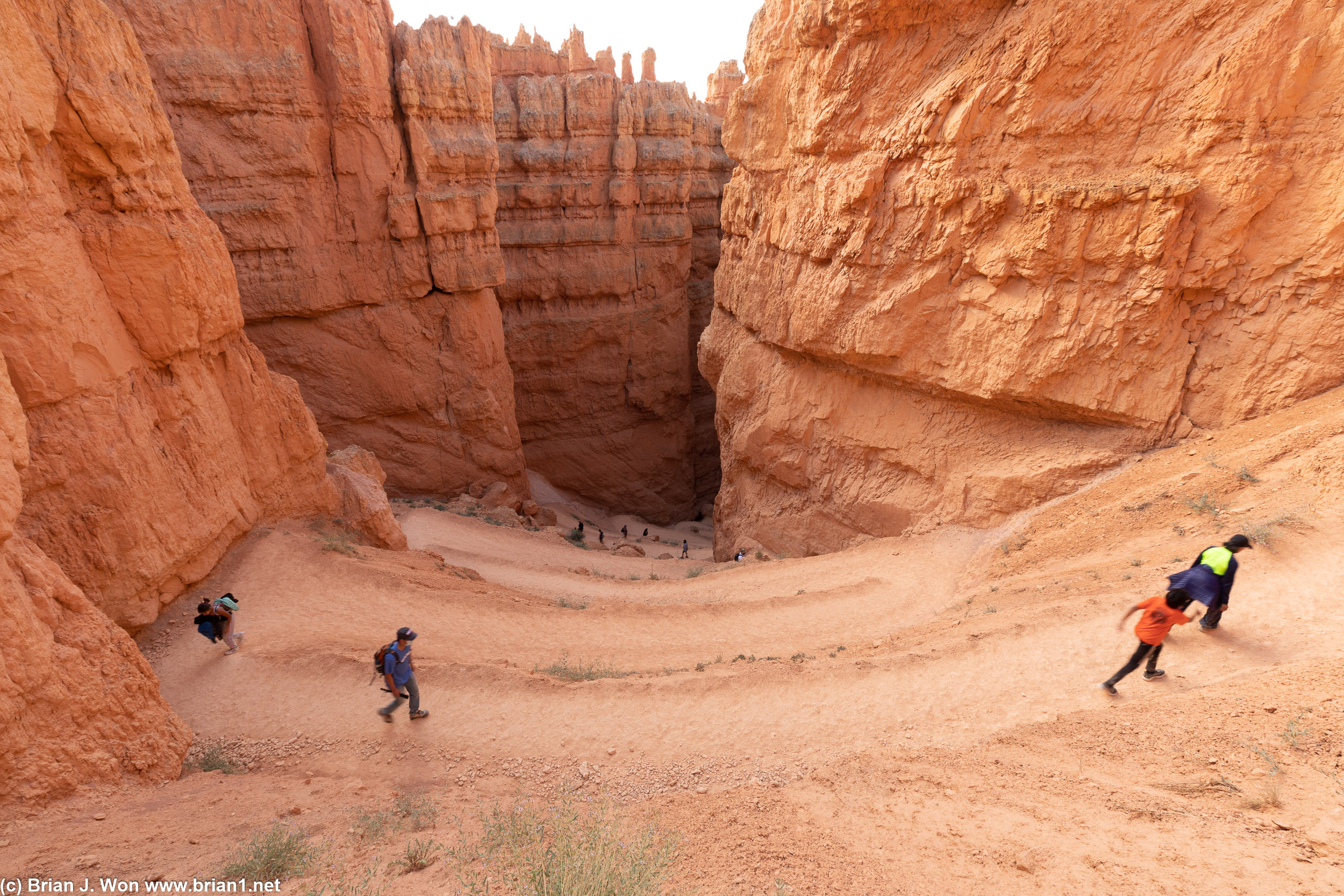 Many, many switchbacks. But well graded.
