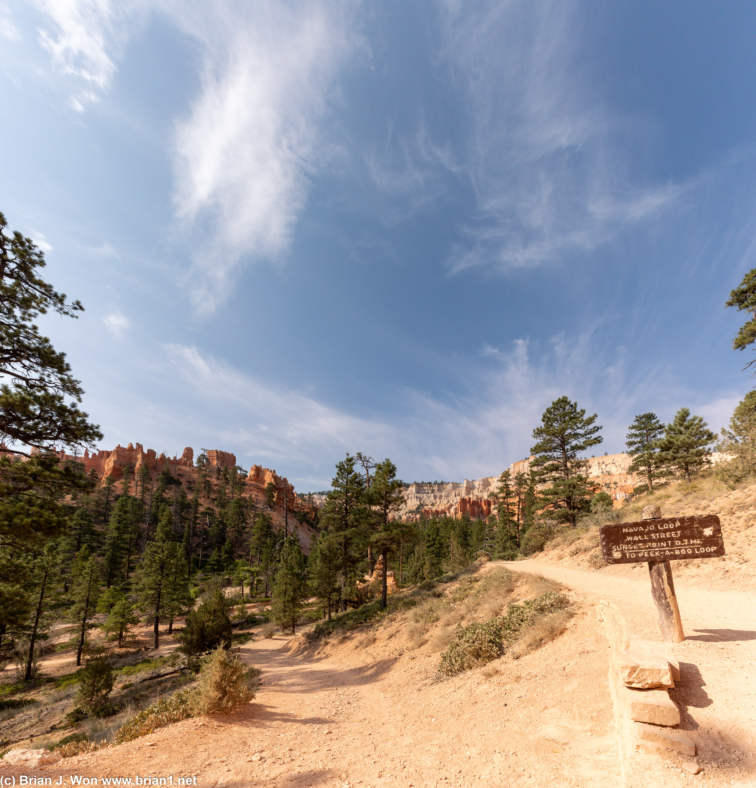Junction of Navajo Loop, Wall Street, and Peek-A-Boo Loop.