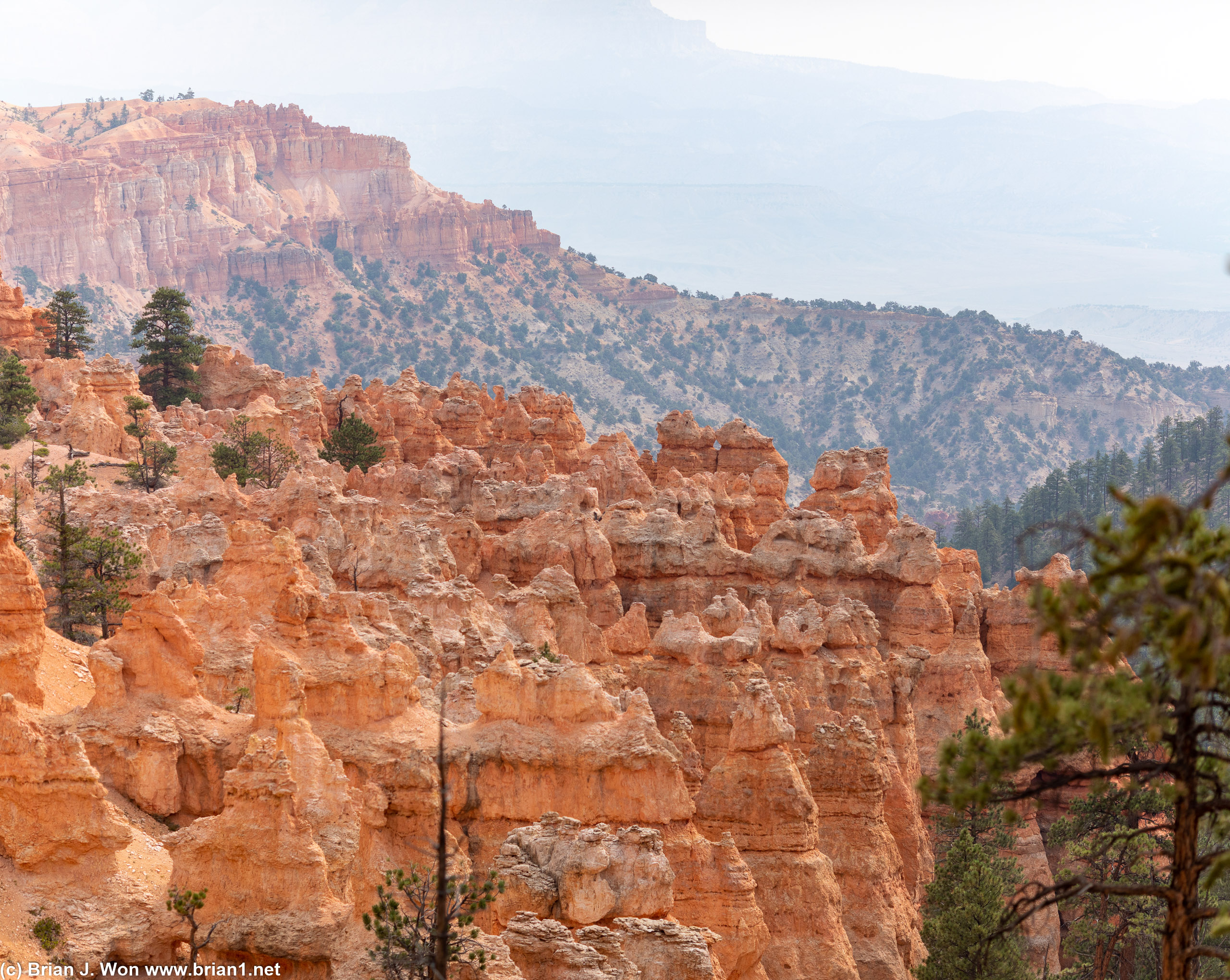 More worn hoodoos.
