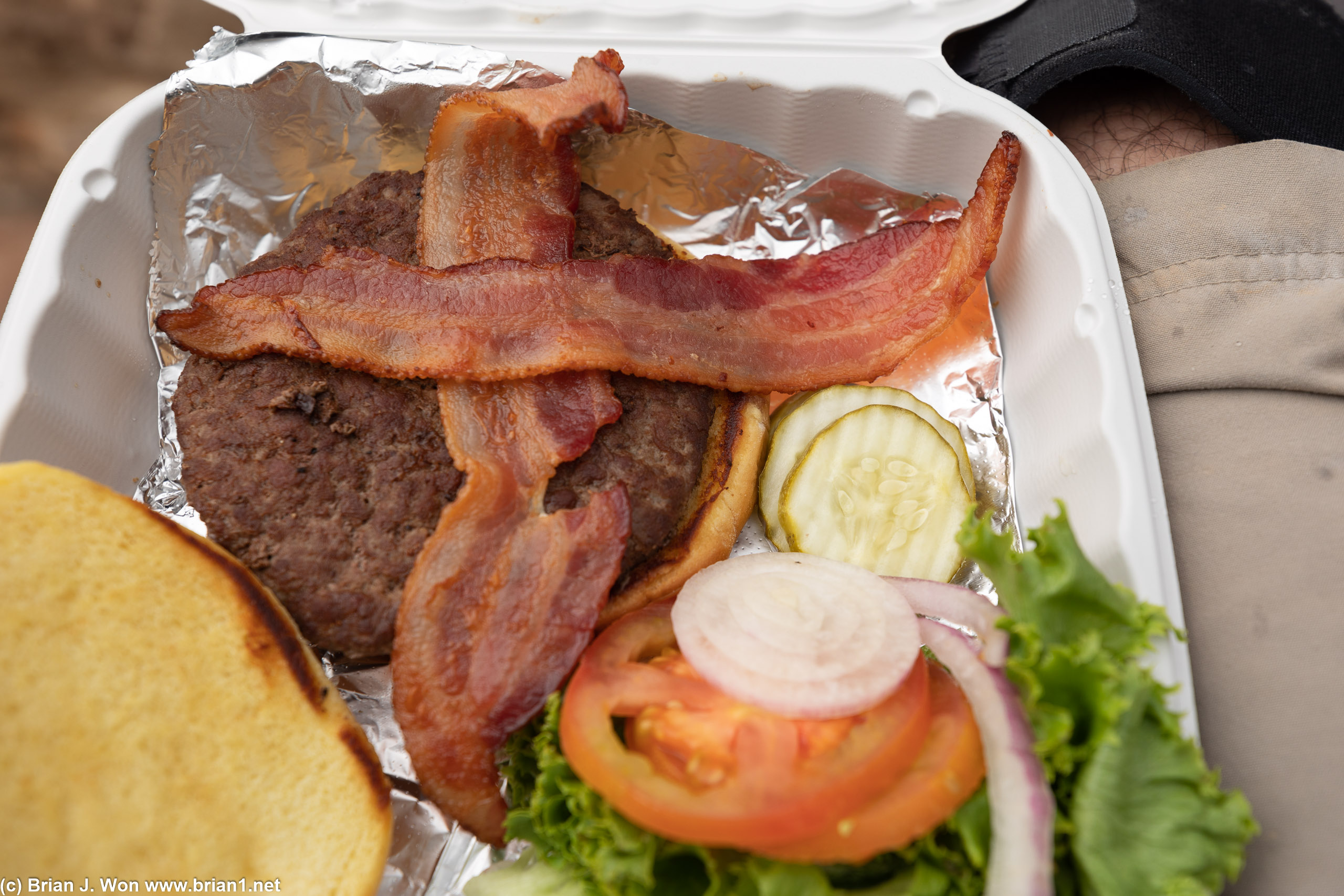 Might not look like much, but the bison burger was quite decent.