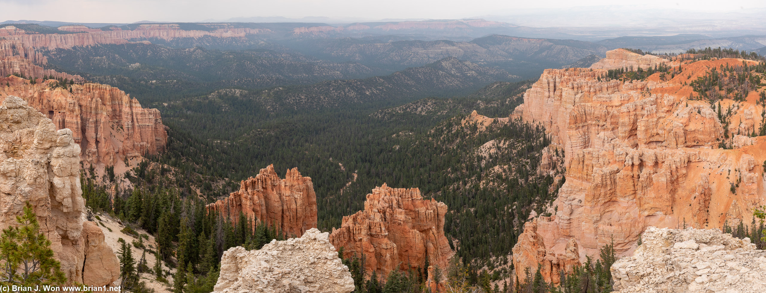 More trees to go with the hoodoos here at Rainbow Point, the southern-most viewpoint in the park.