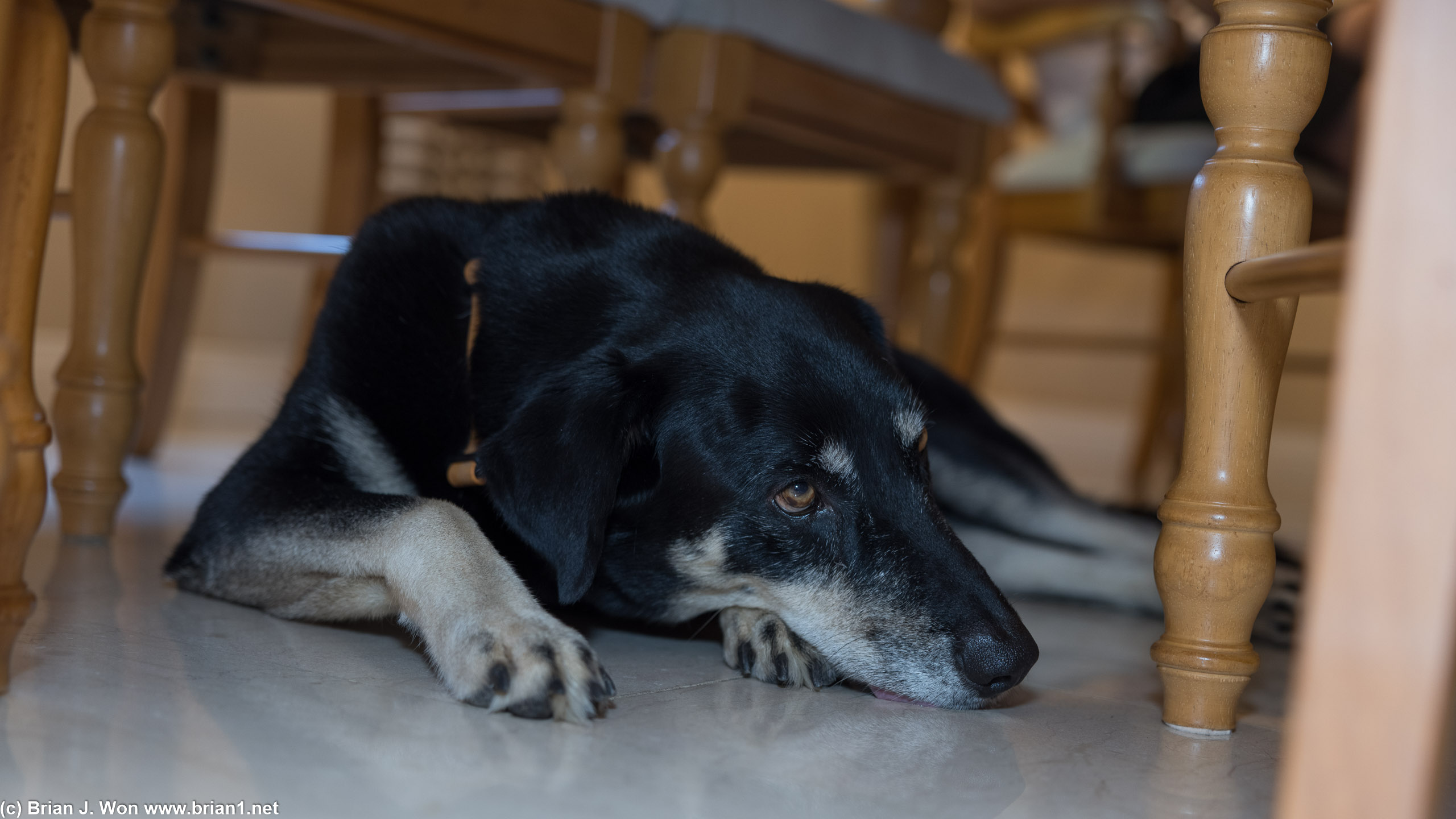 Poor Zeus has been relegated to second son status.