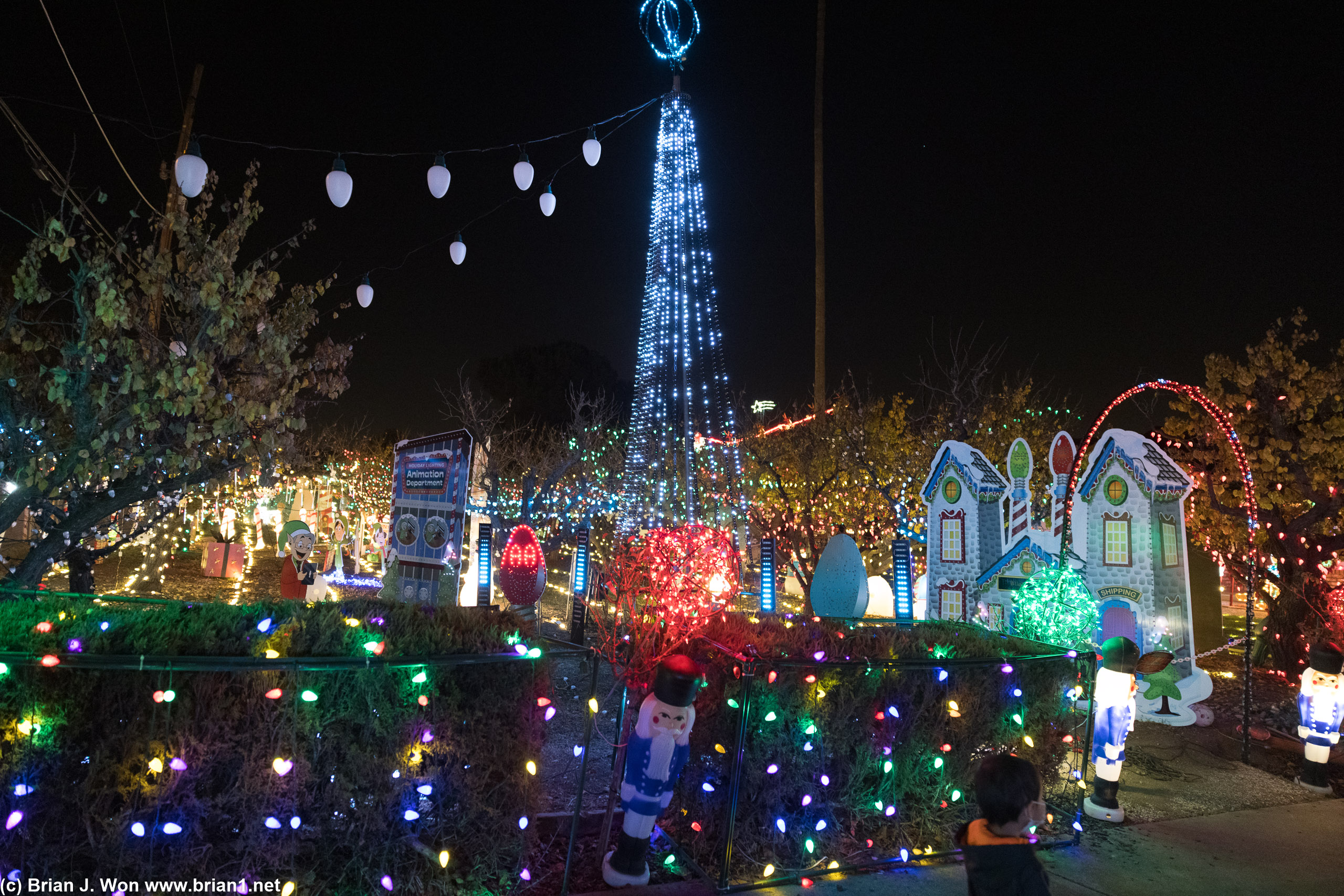 Christmas lights!