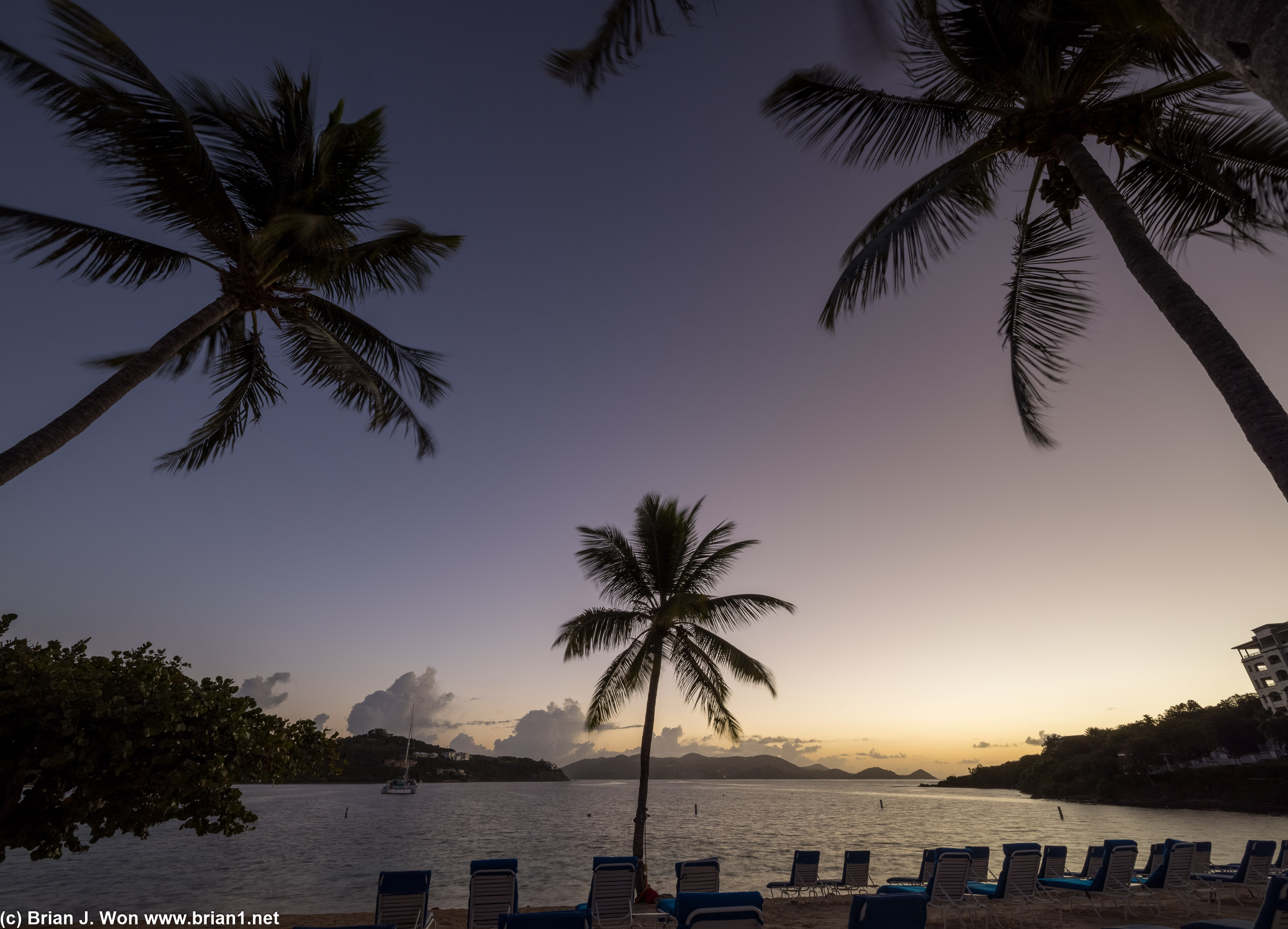 Palm trees frame the last moments of the sunrise.