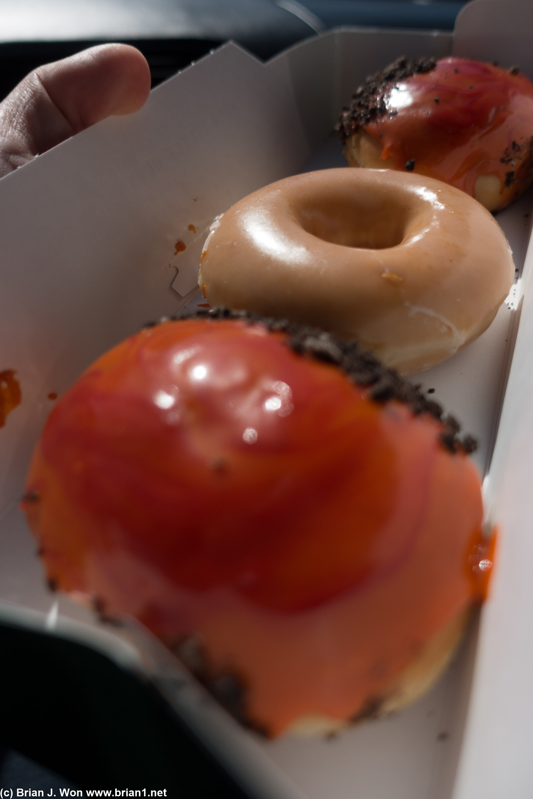 Regular donut for comparison.