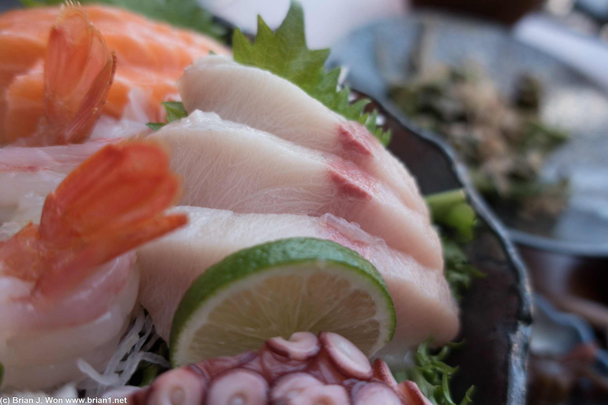 Halibut.