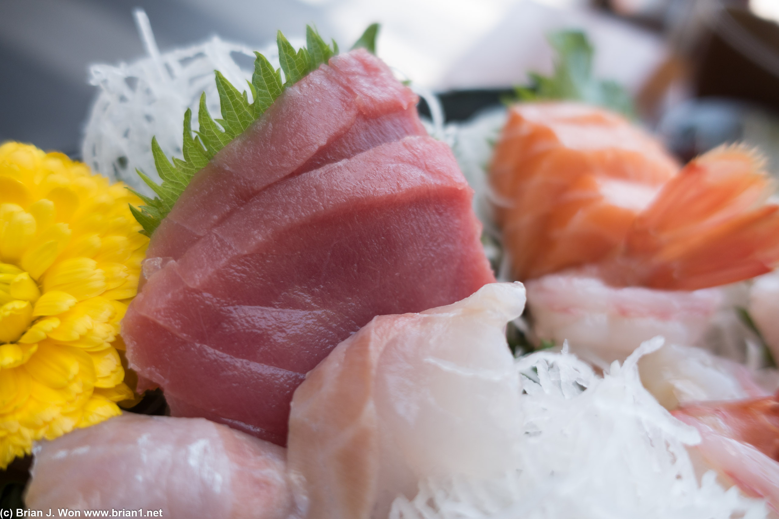 Maguro.