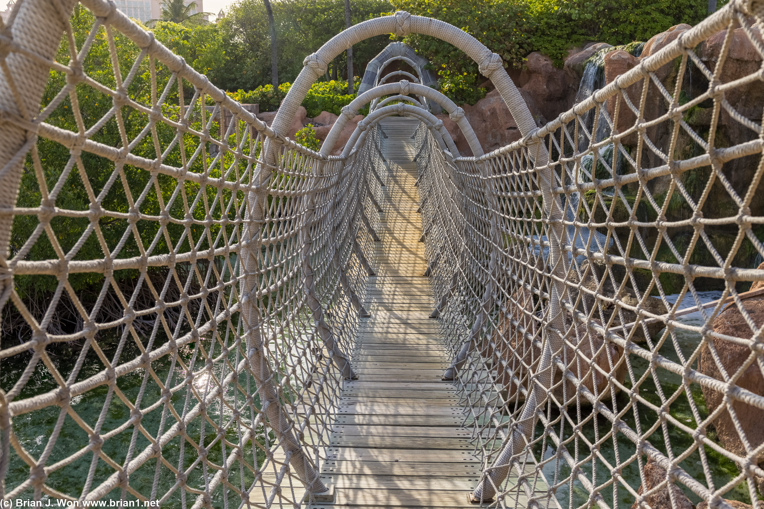 On the rope bridge.