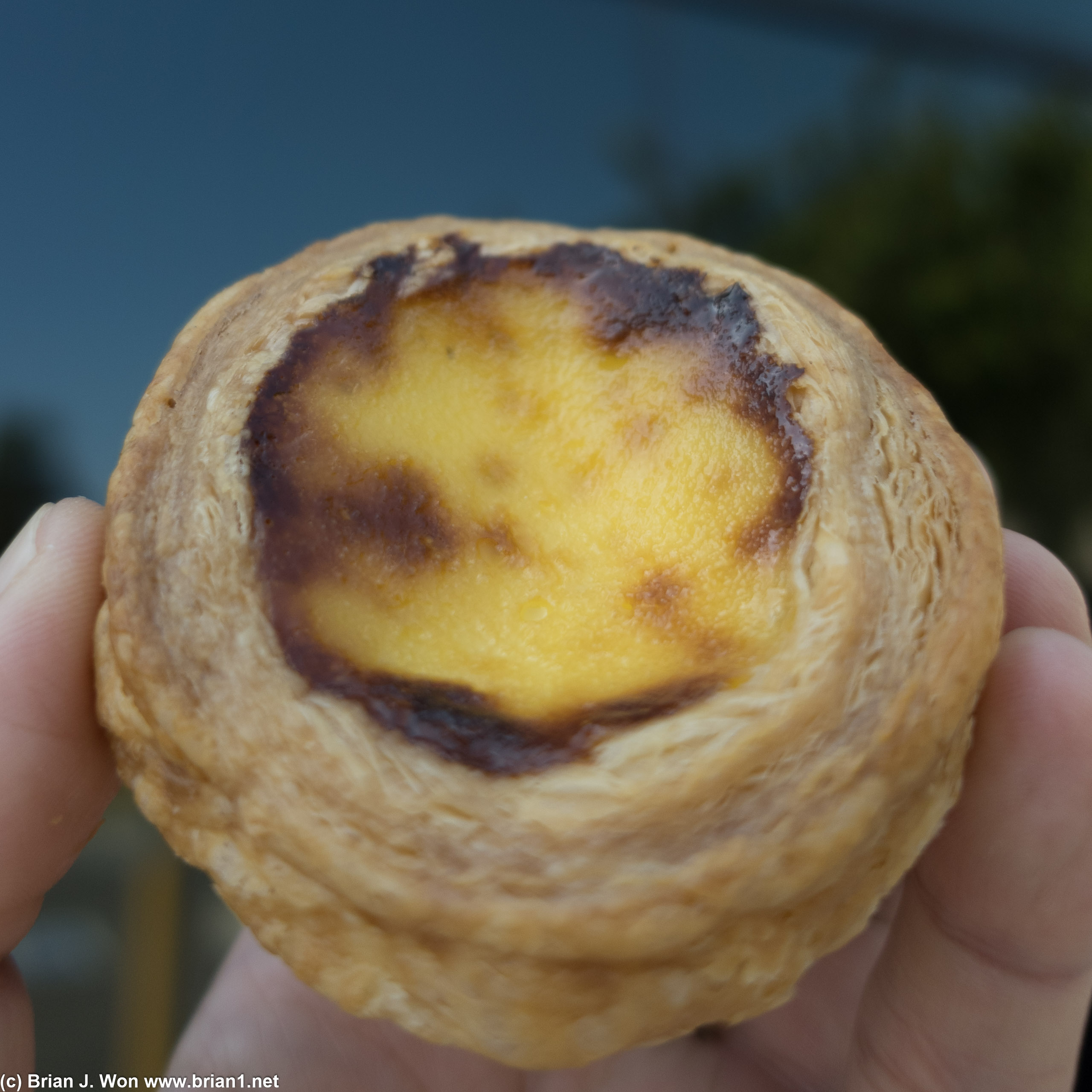 Pastel de nata seemed like too thick a crust.