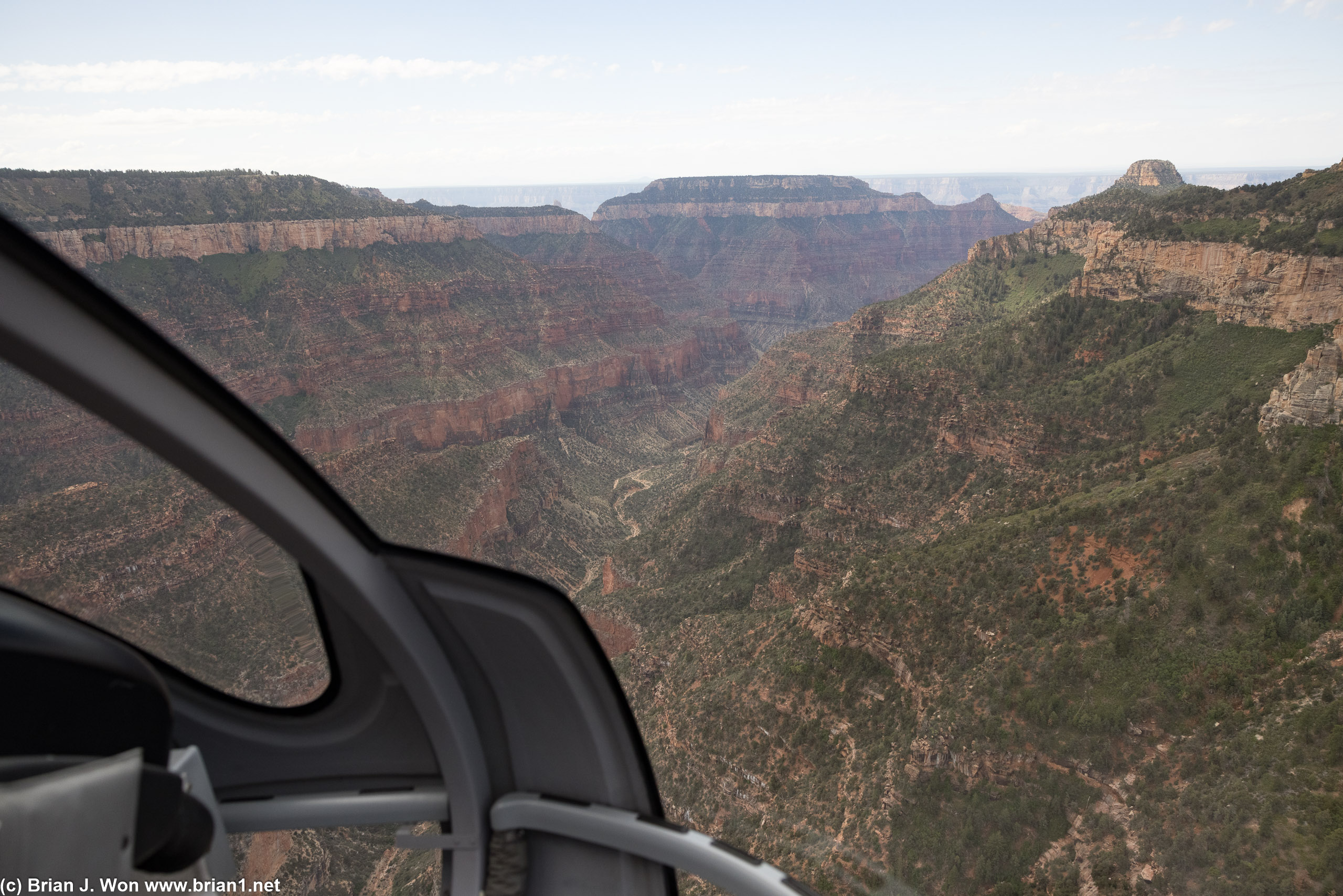 Significantly more greenery in evidence on southern-facing walls of the canyon.
