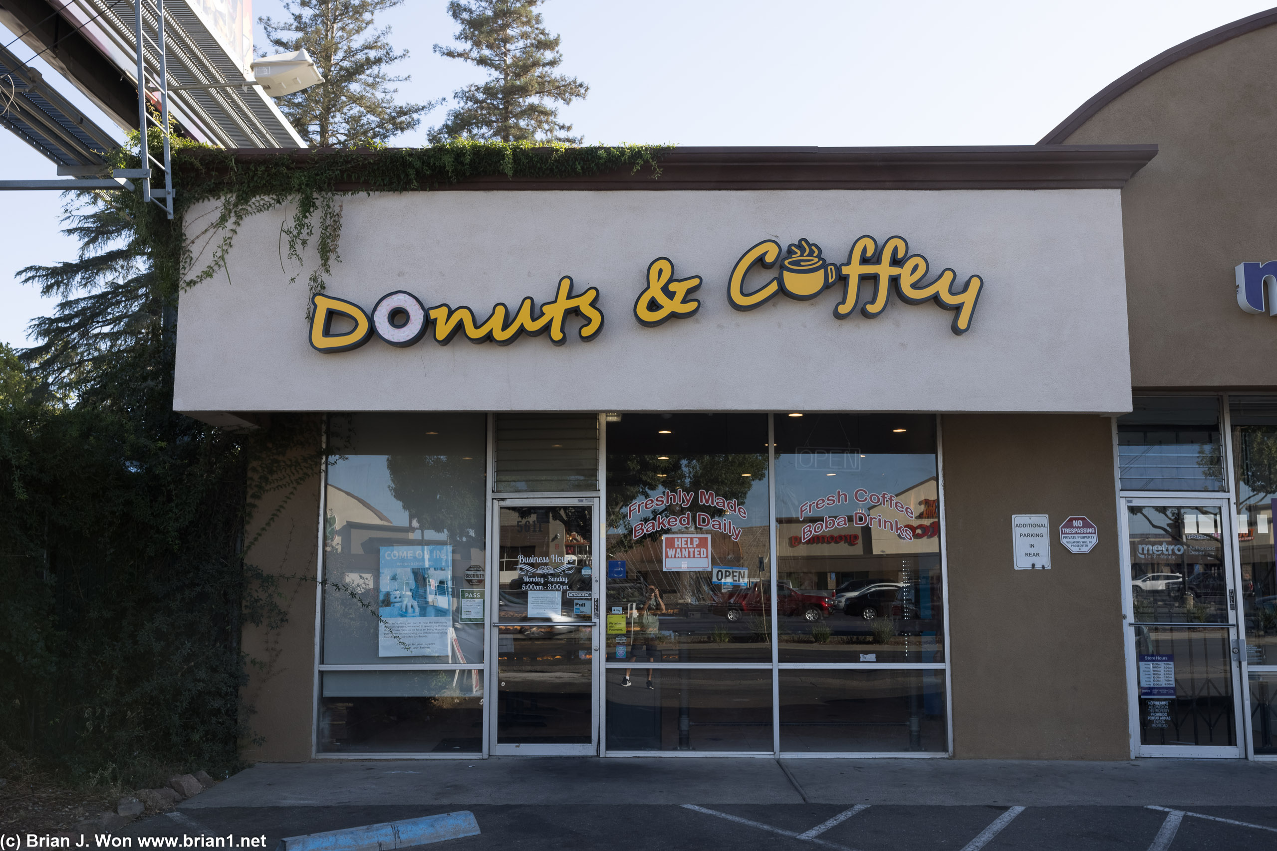 Unassuming but surprisingly good donuts.