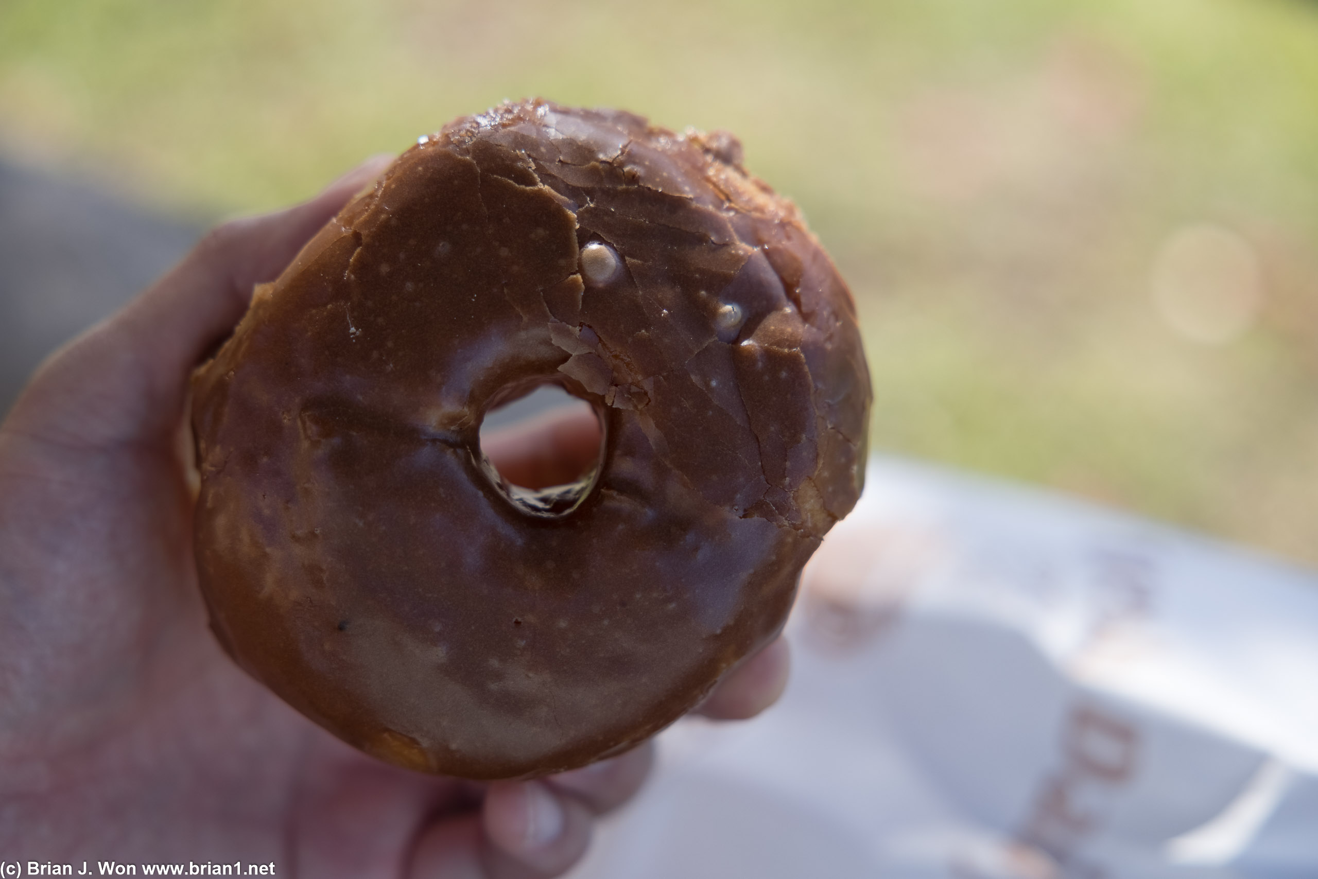 Raised chocolate-- quite good (the damage is my fault!).