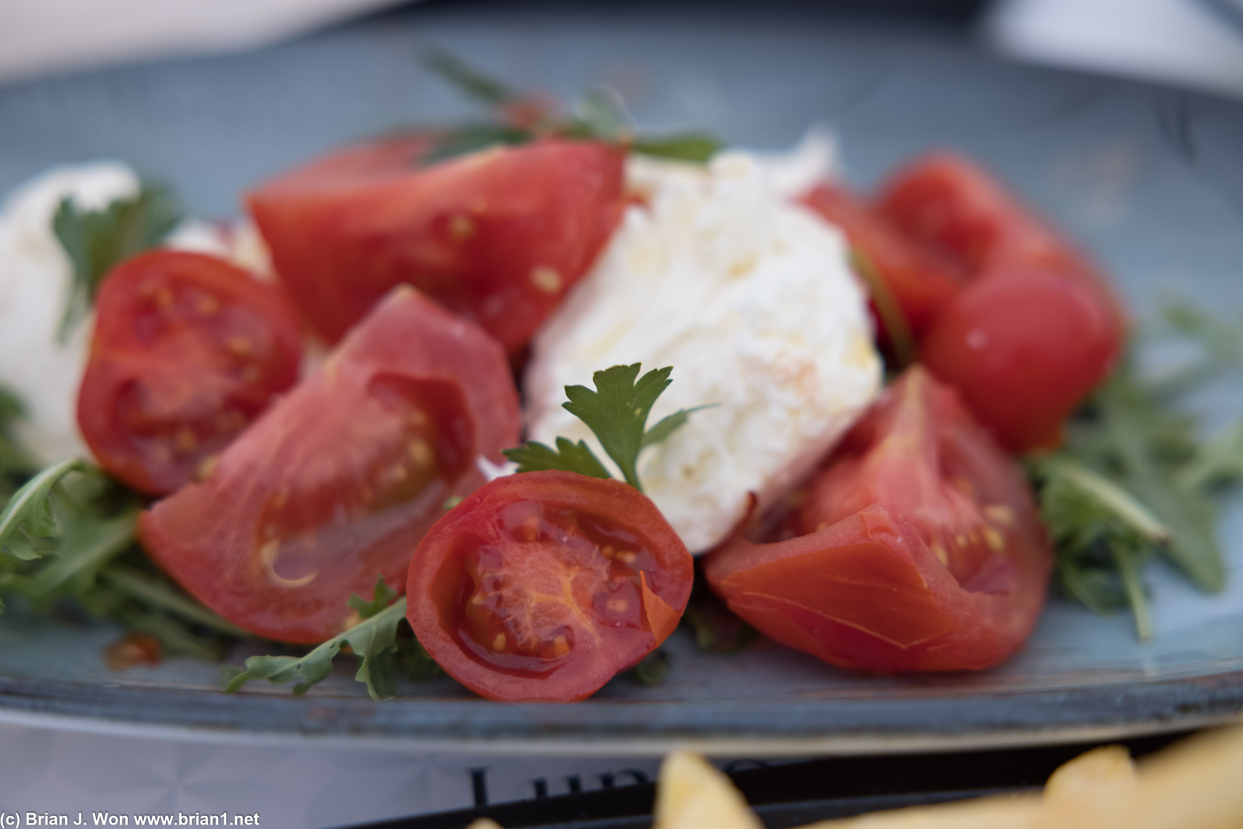 Caprese. Tomatoes were burnt, so a little odd. Fresh tho.