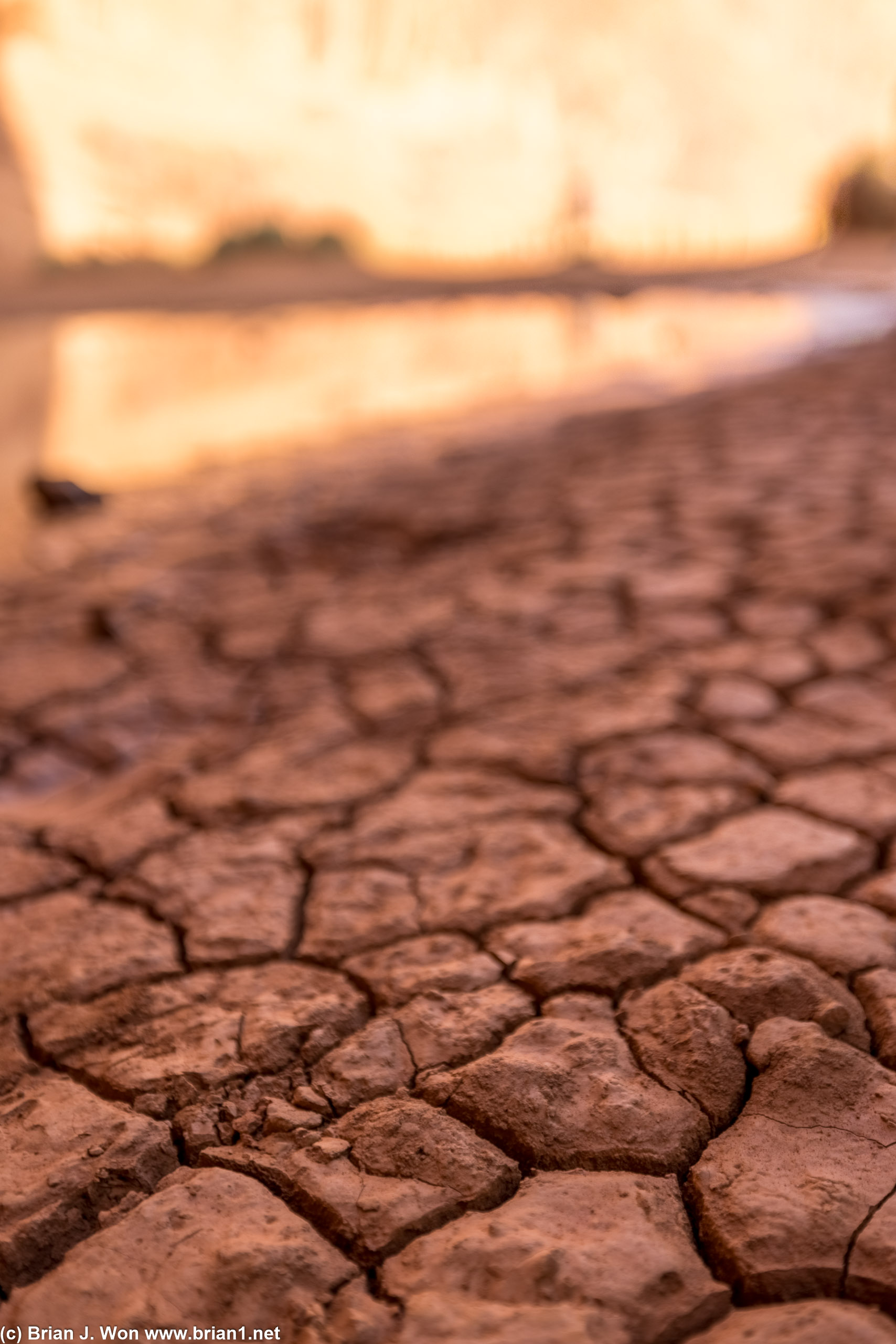 Dry.