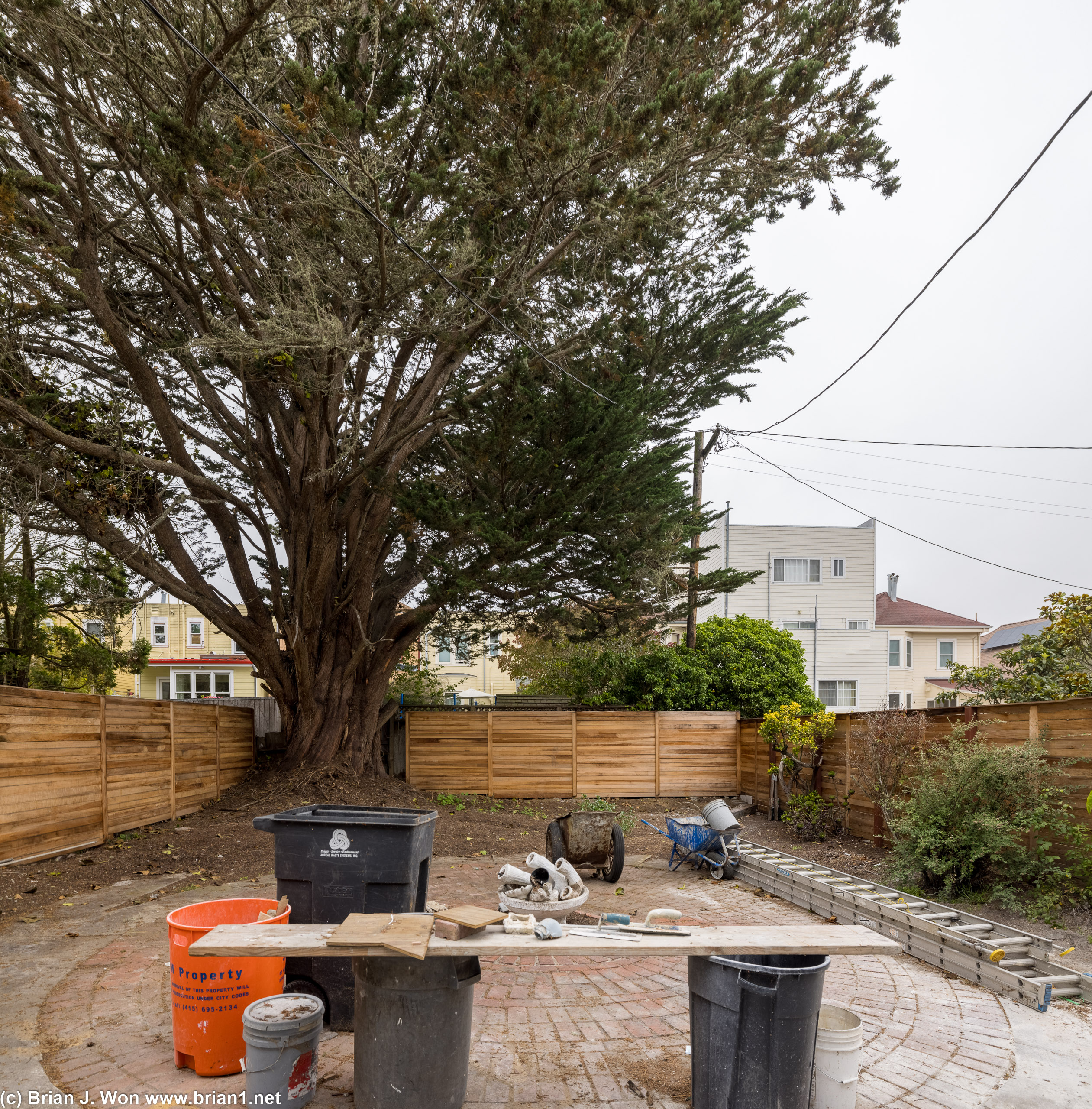 Great backyard (or will be when it's done).