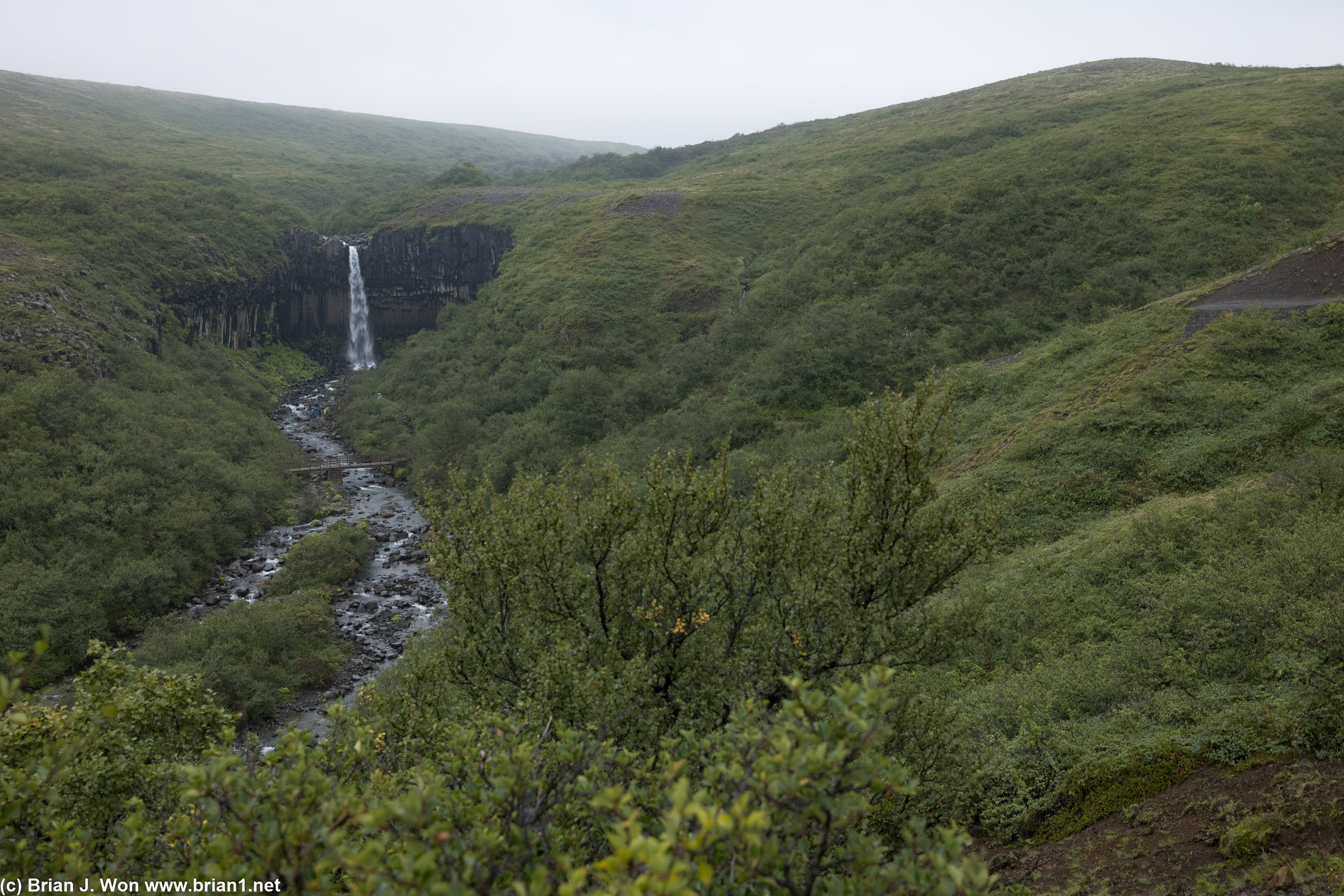 Hiking up towards Svartifoss.