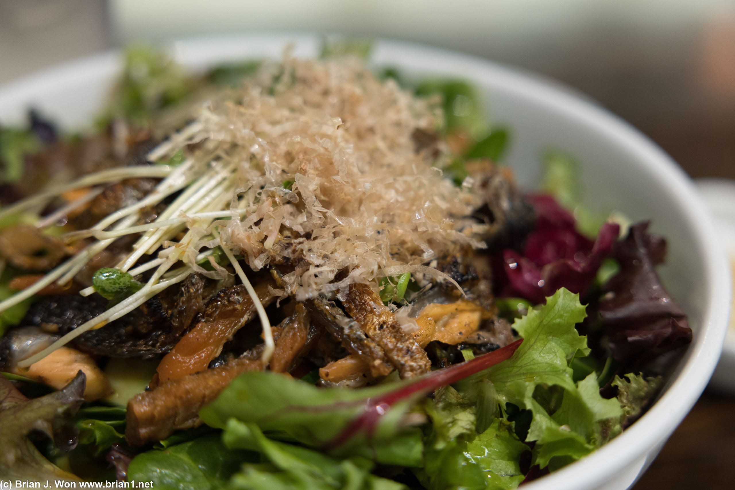 Salmon skin salad was a huge portion.